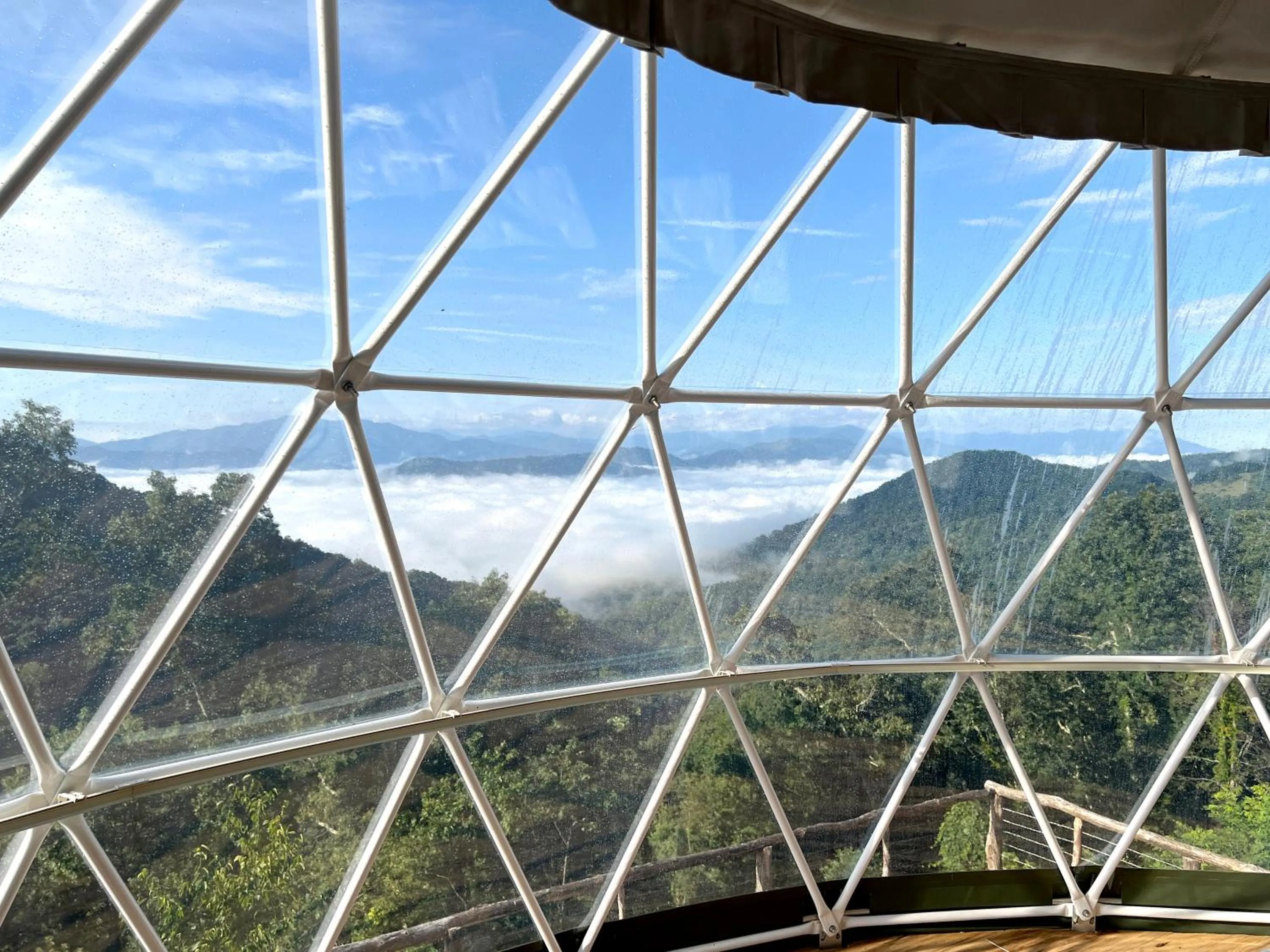 View (from property/room) in The Glamping Collective