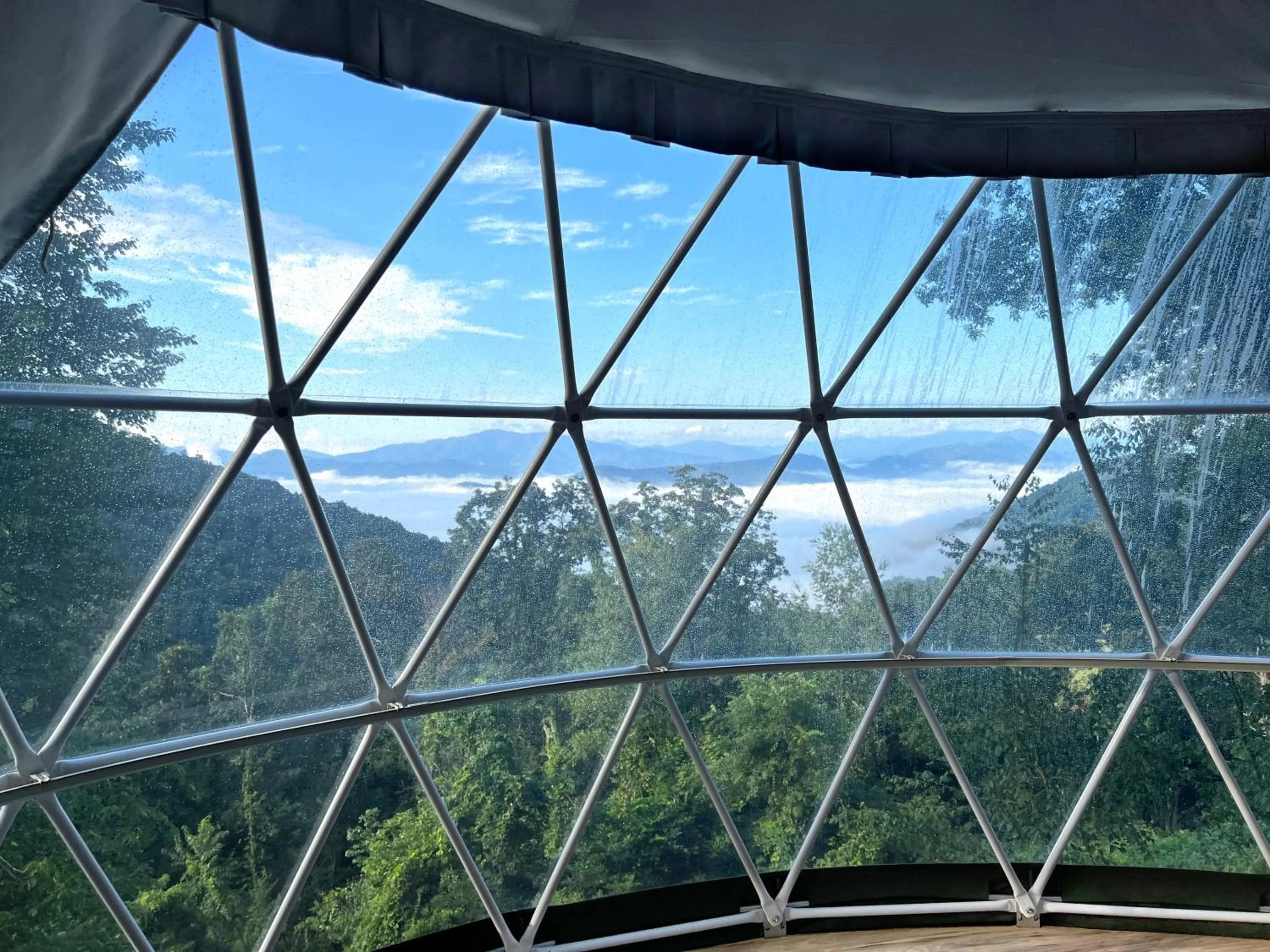 View (from property/room) in The Glamping Collective