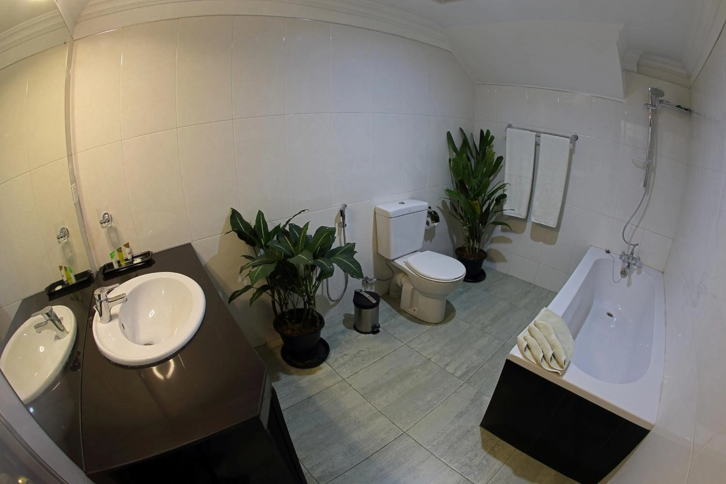 Bathroom in Cafe Aroma Inn