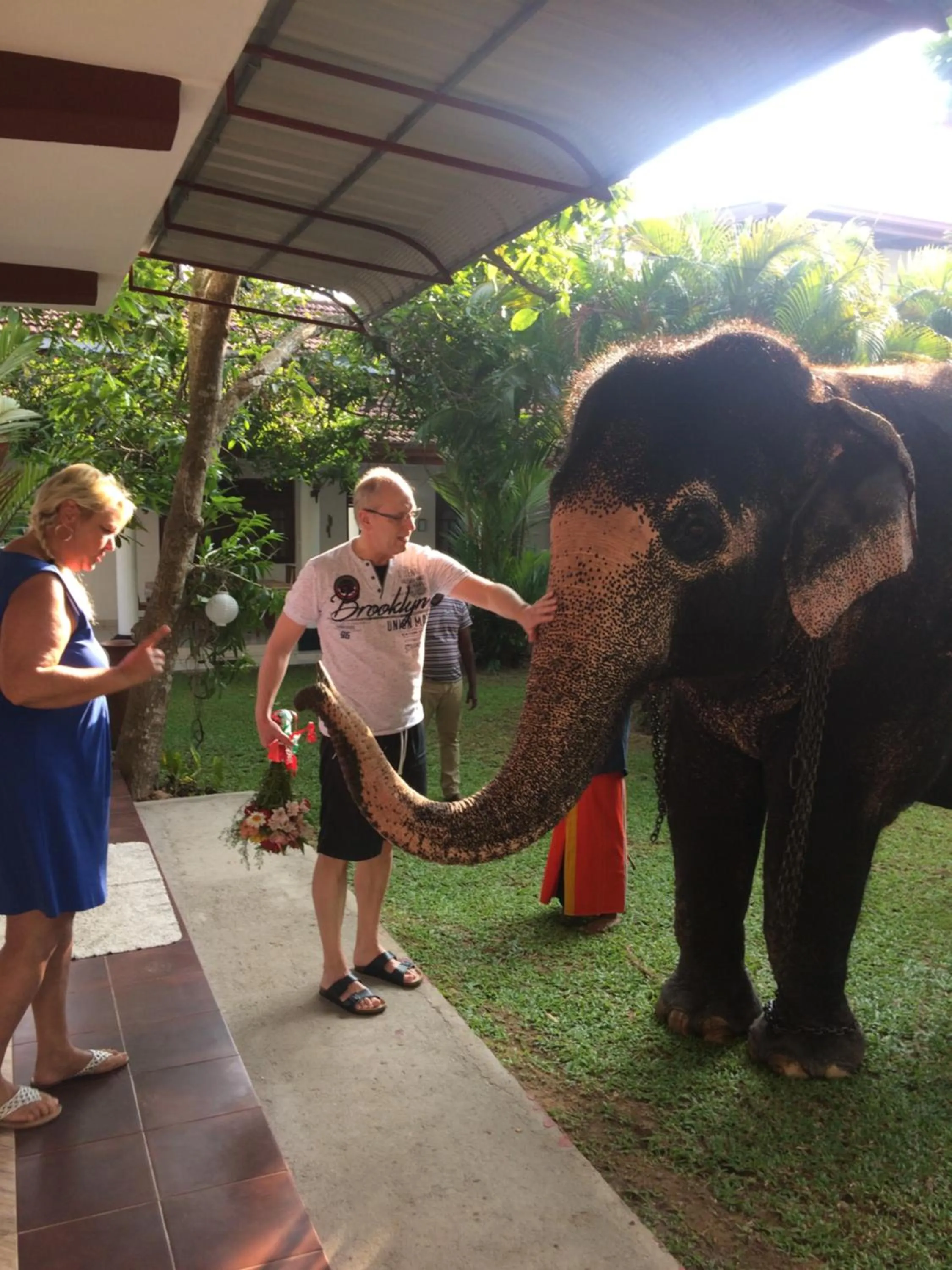 On site in White Bridge House & Resort