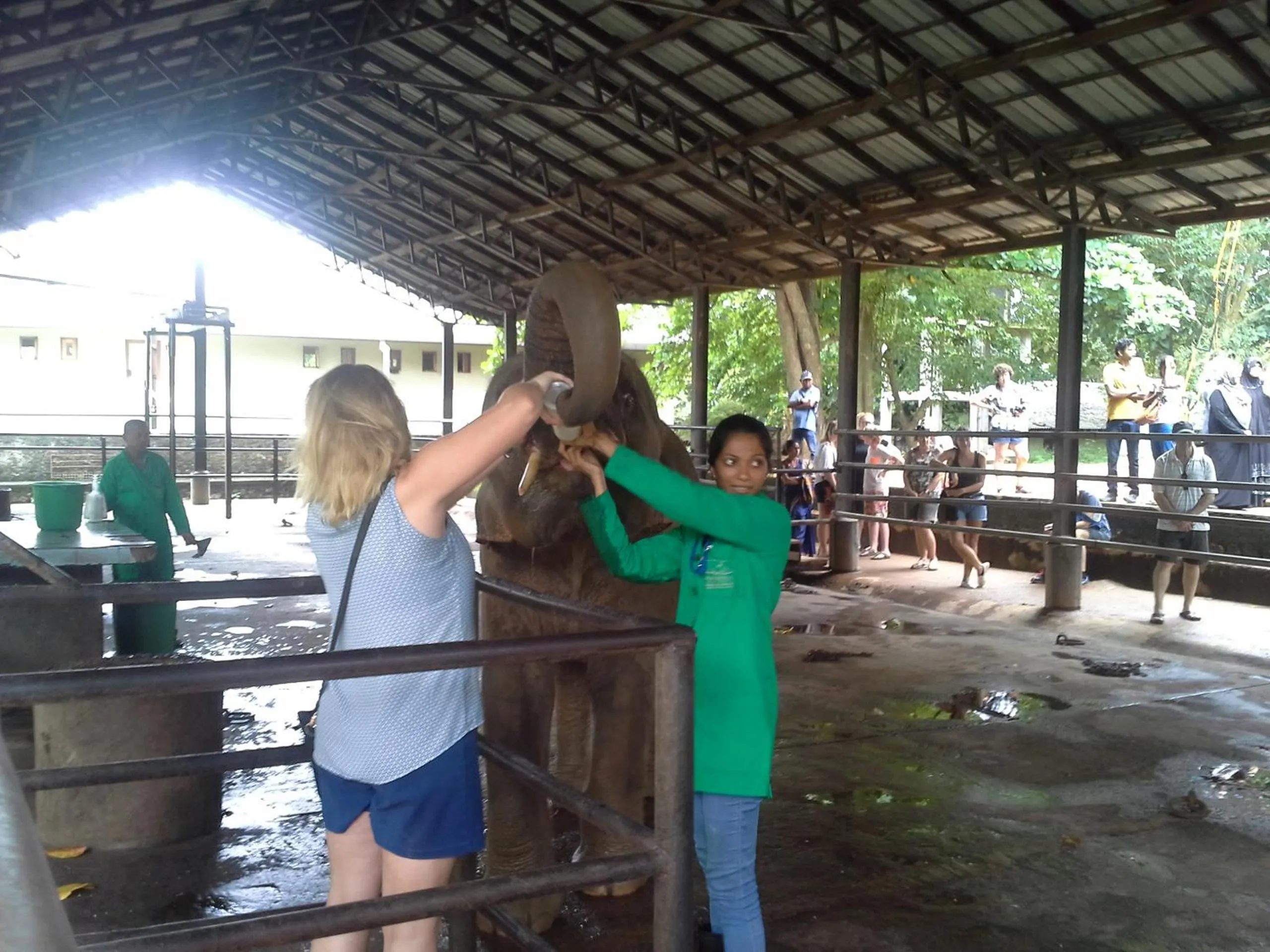 Off site in White Bridge House & Resort