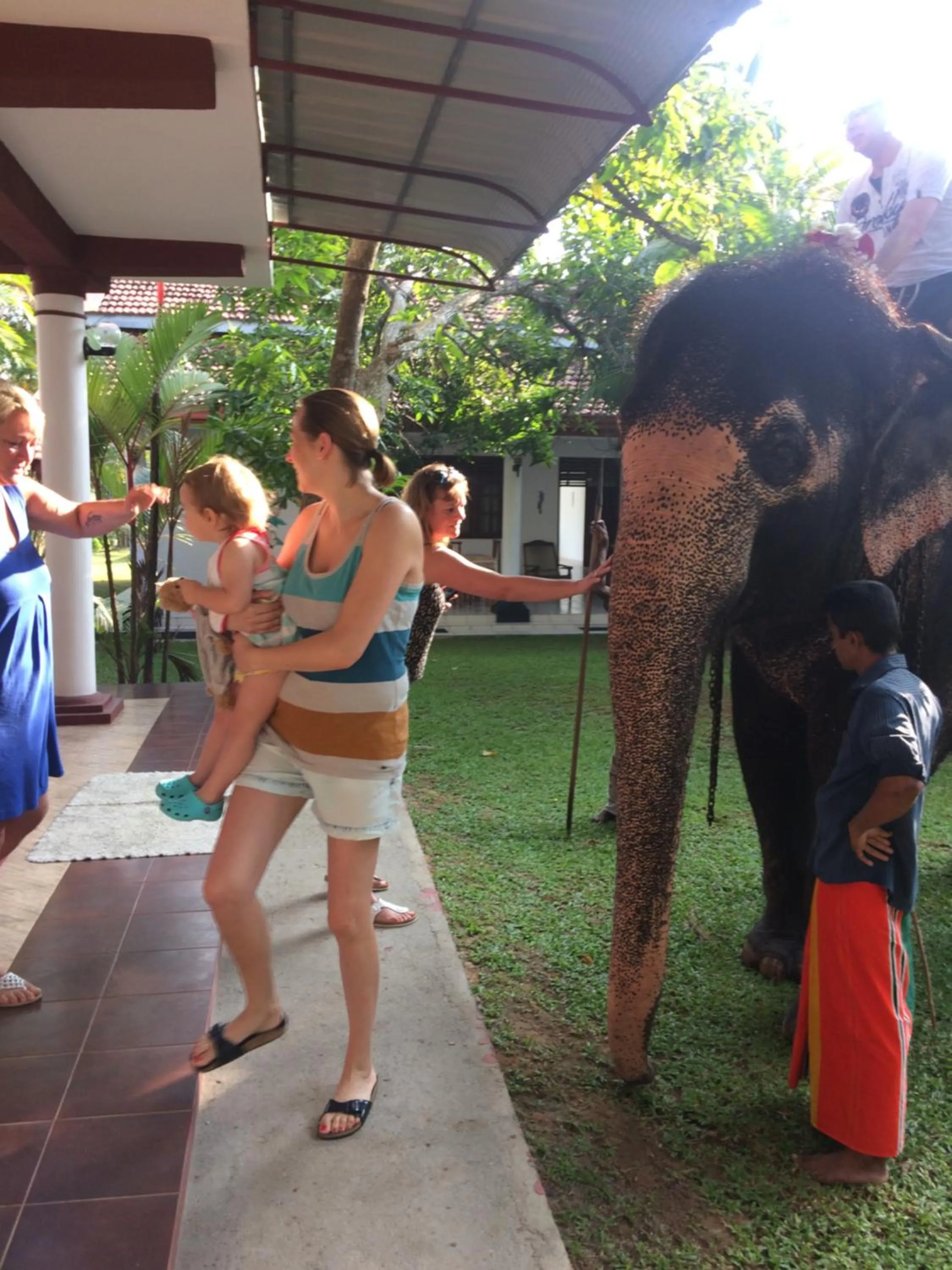Garden in White Bridge House & Resort