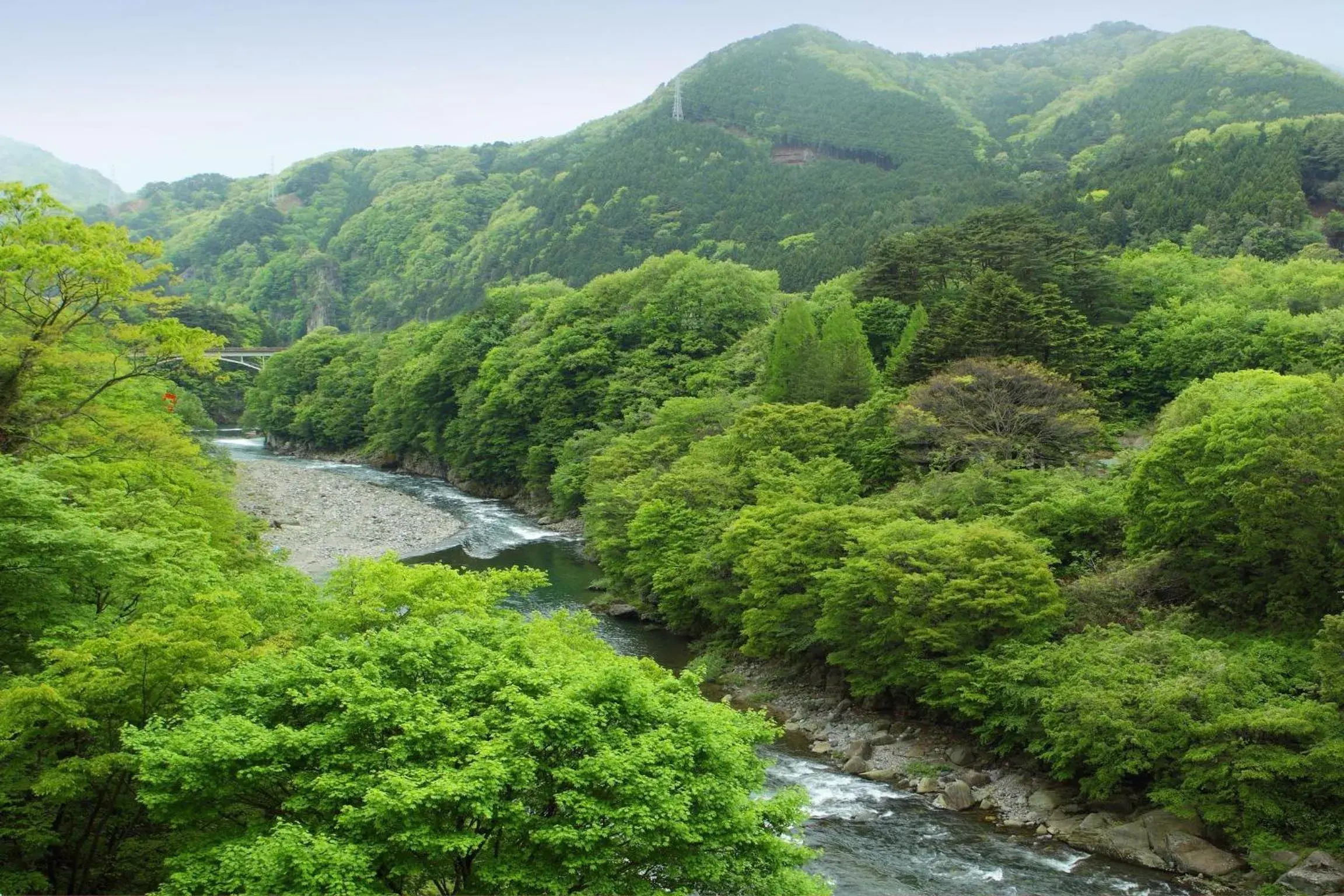 View (from property/room) in Nanaeyae View (from property/room) in Nanaeyae