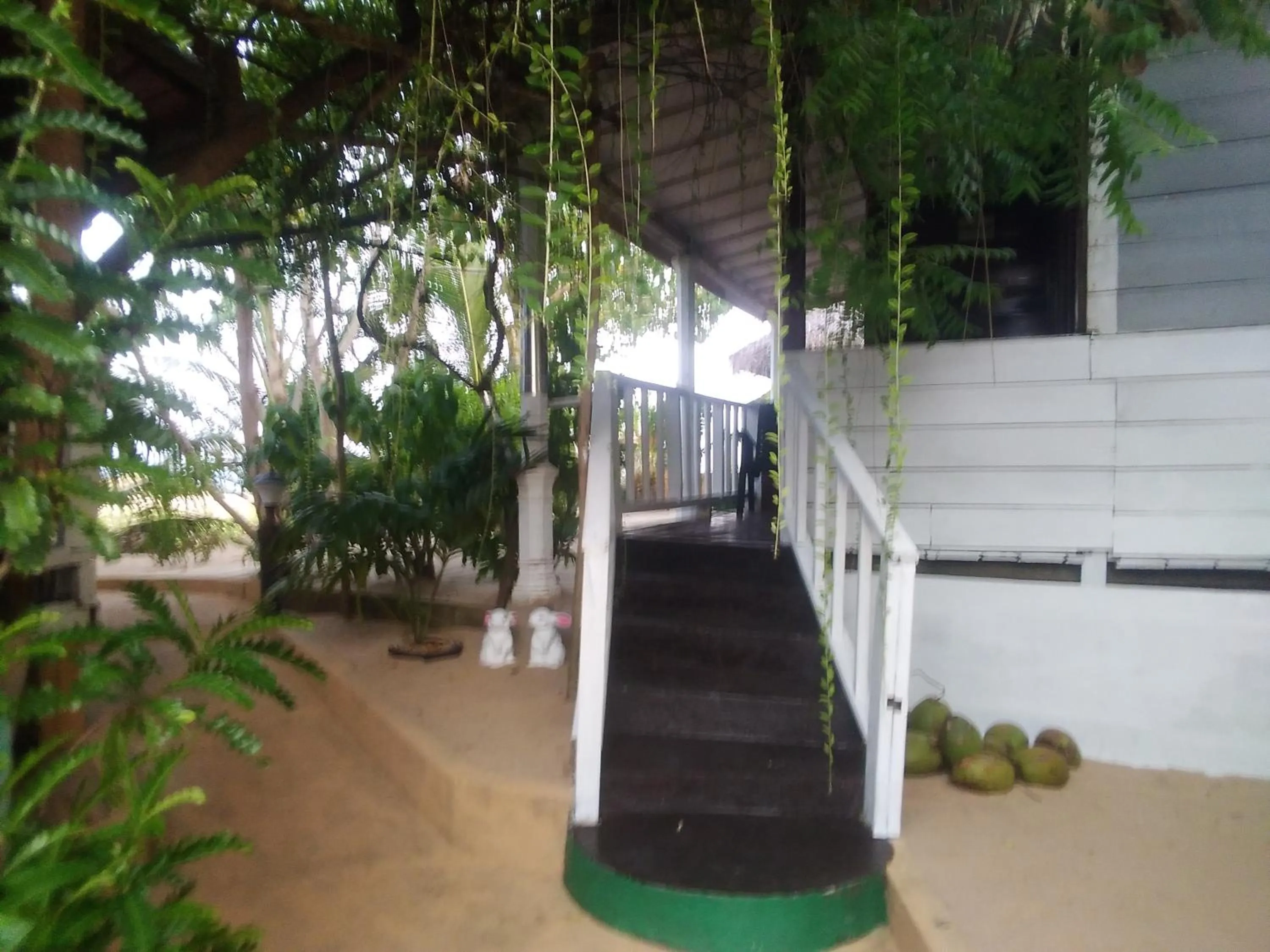 Little Pumpkin Cabanas & seafood restaurant