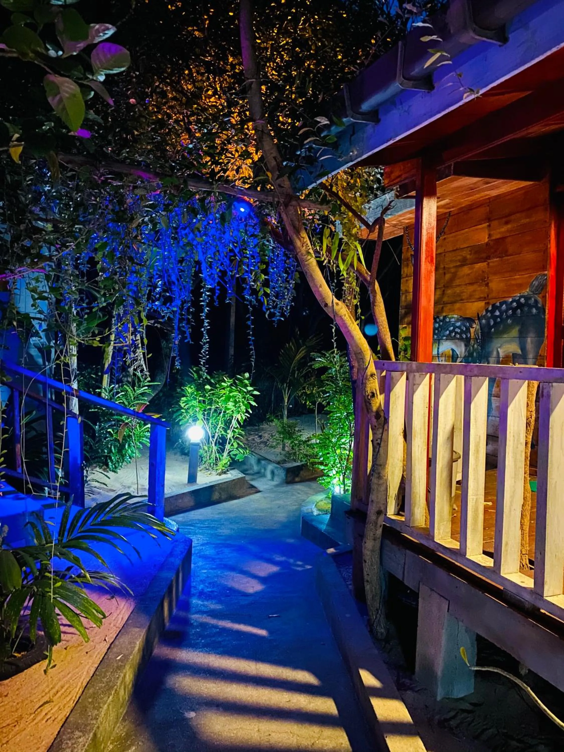 Night in Little Pumpkin Cabanas & seafood restaurant