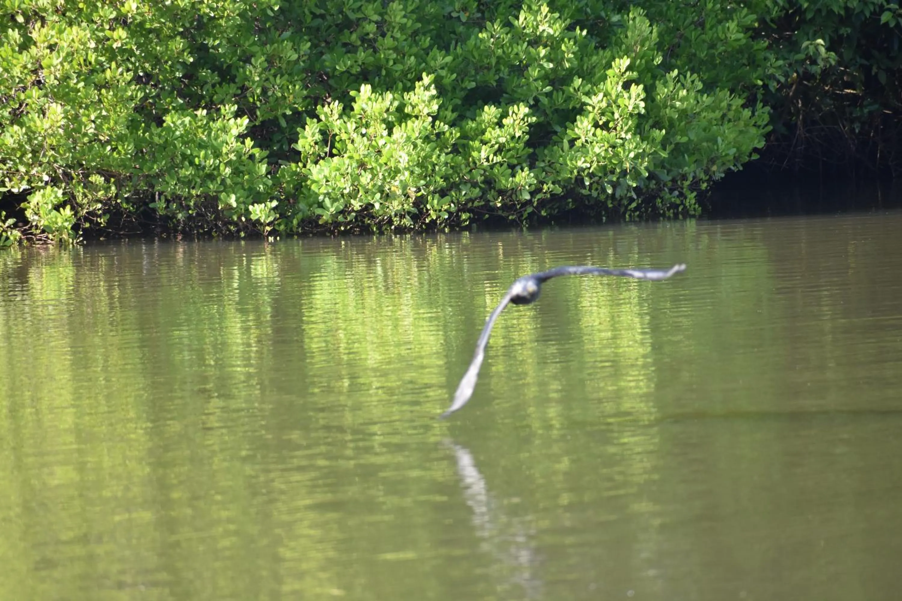 Natural landscape in Little Pumpkin Cabanas & seafood restaurant