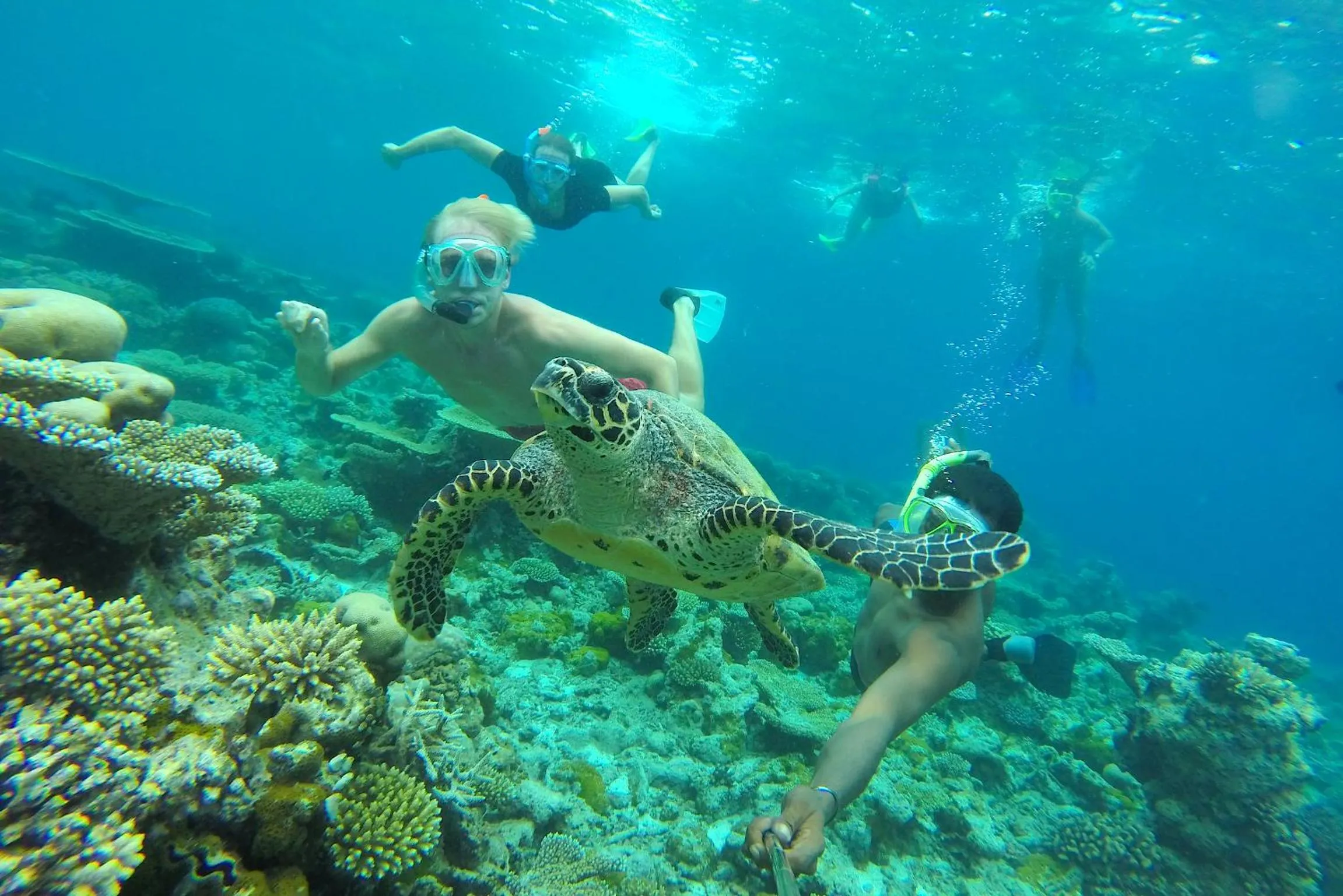 Snorkeling in Kaani Village & Spa