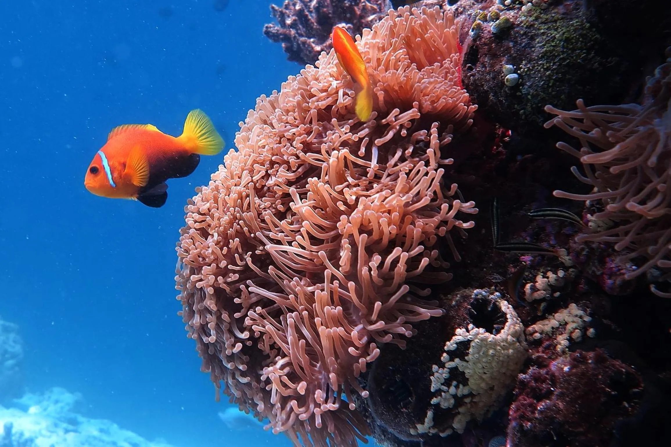 Area and facilities in Kaani Village & Spa