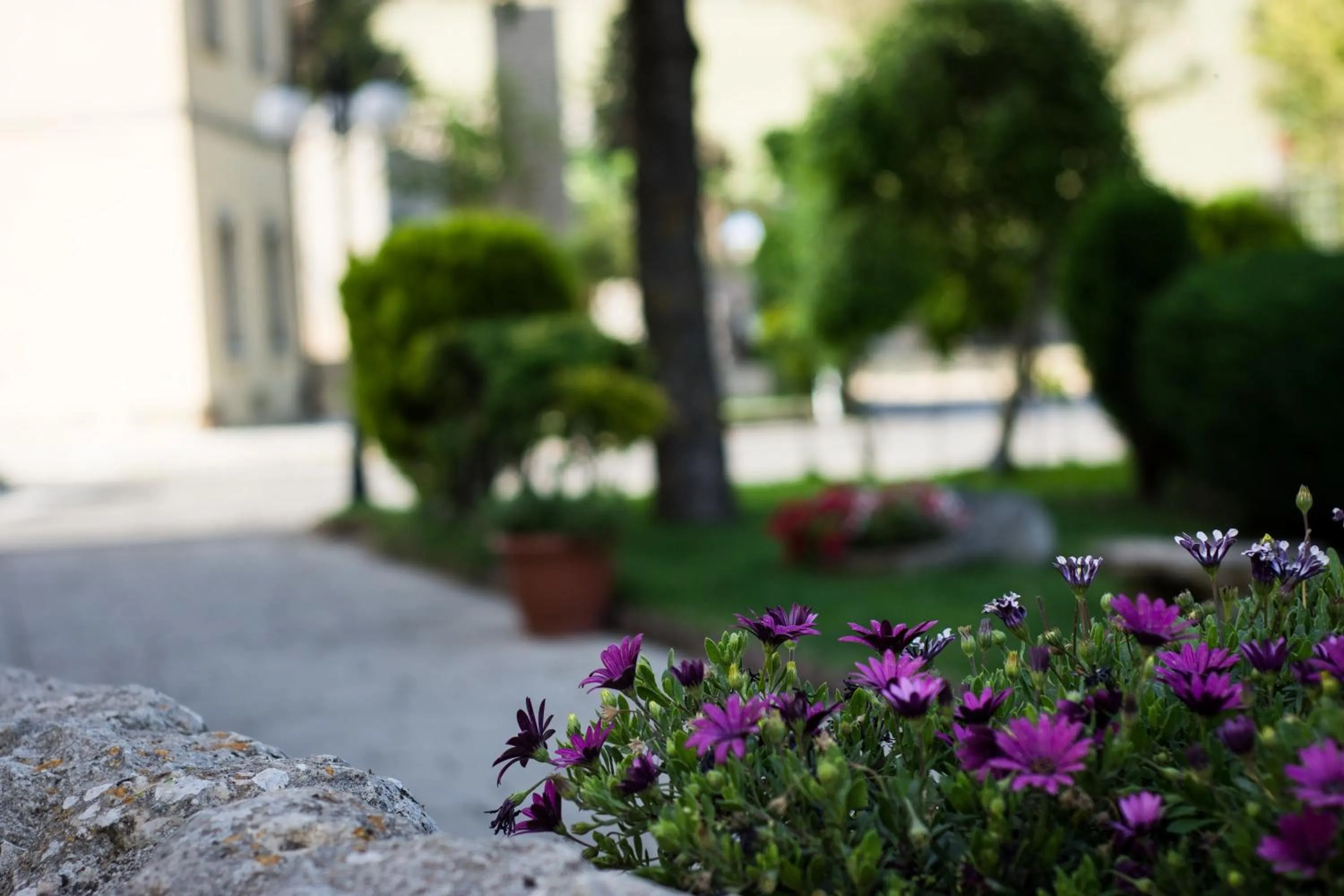 Decorative detail in Antica Stazione