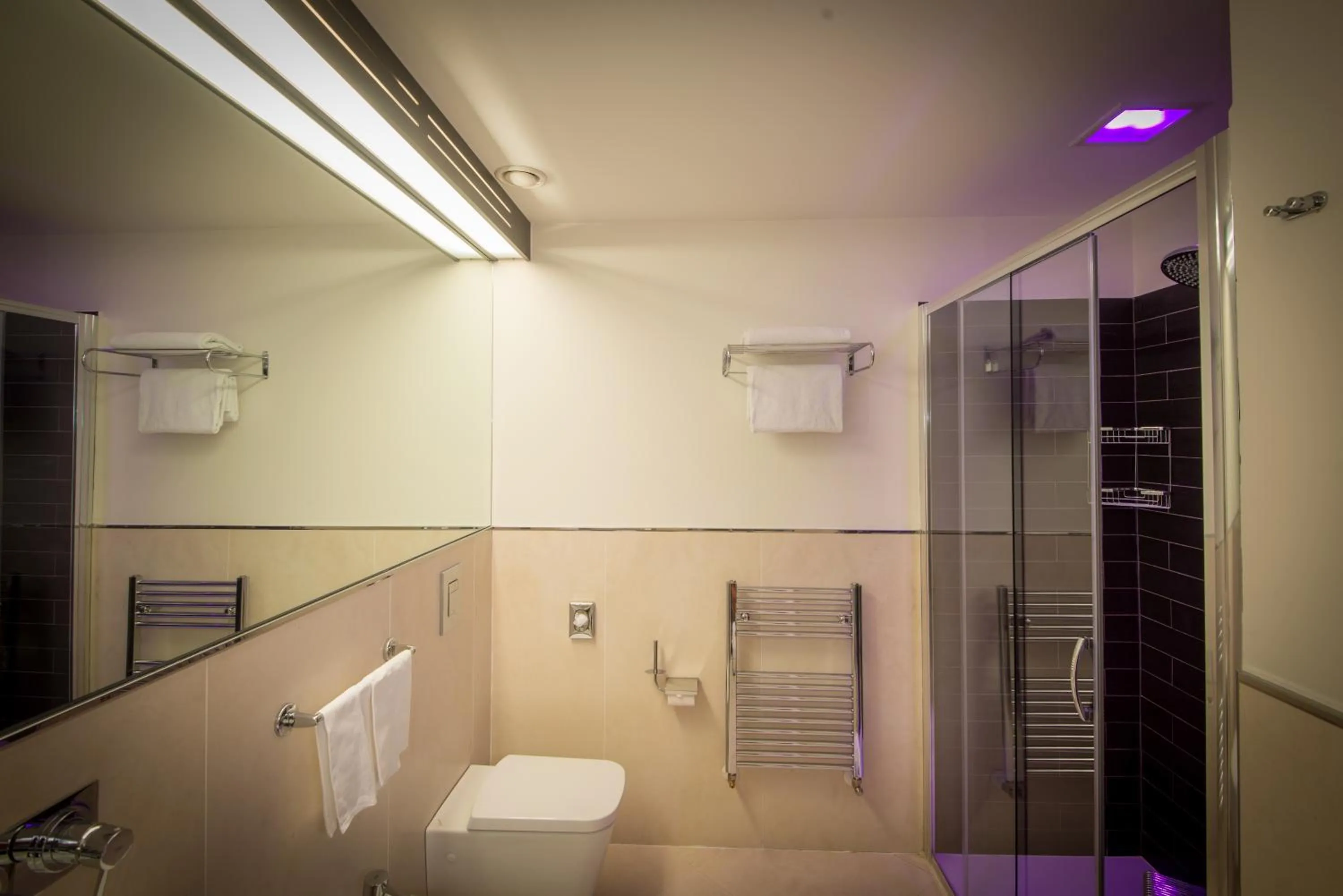 Shower in AS Hotel Limbiate Fiera