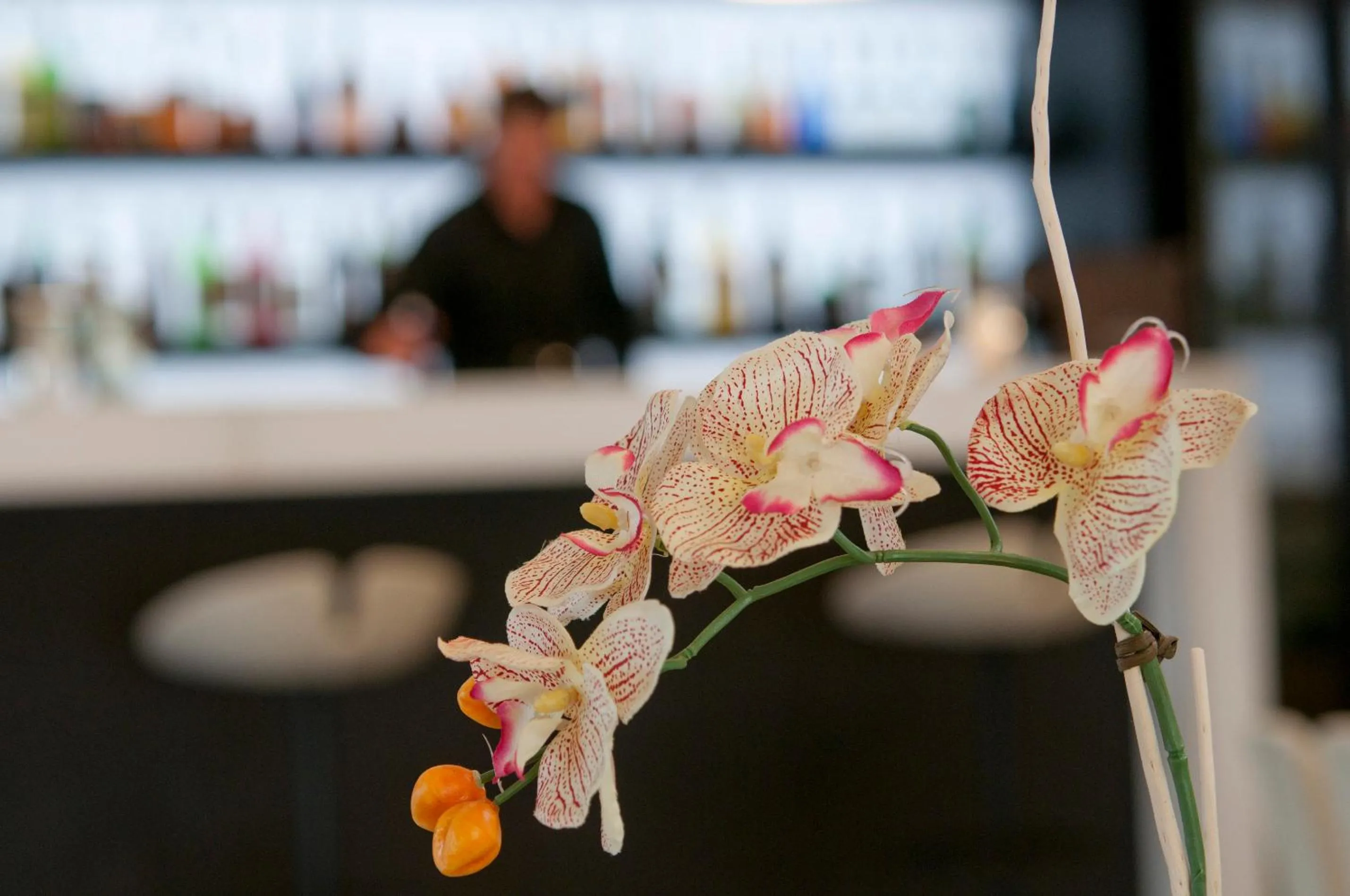 People in AS Hotel Limbiate Fiera