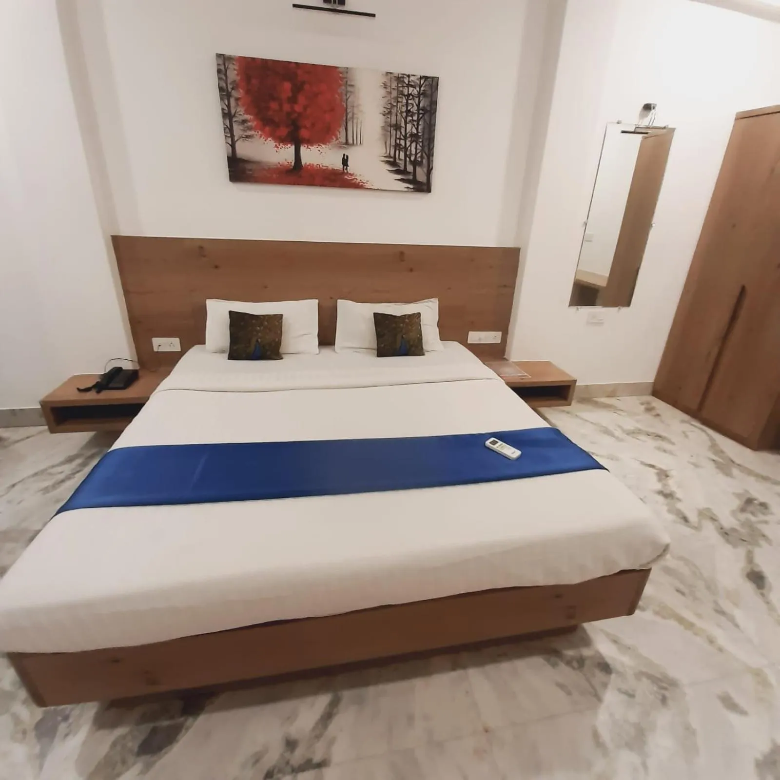 Photo of the whole room in Hotel Nisha Nest, Bhopal