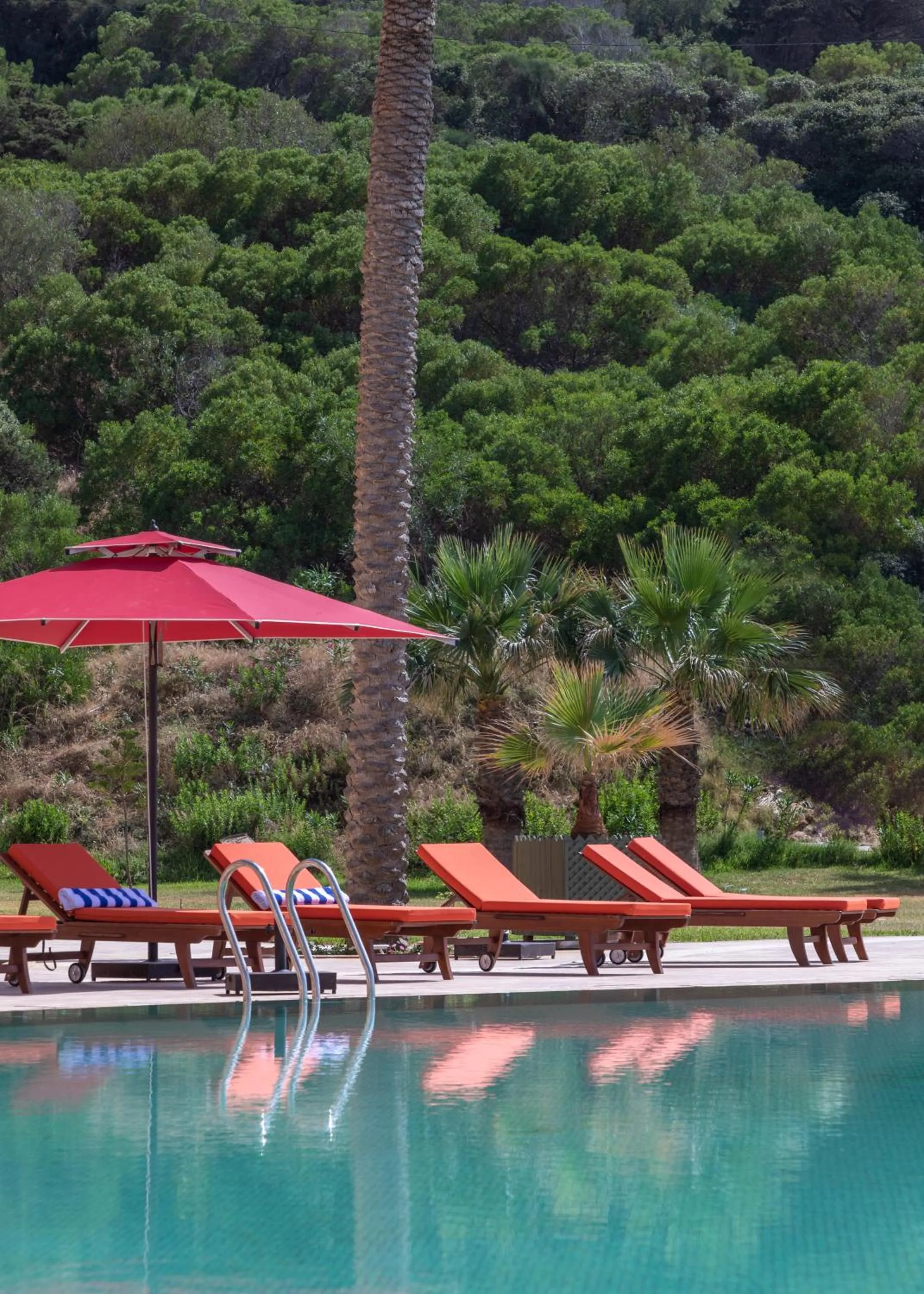 Garden view in Royal Tulip Korbous Bay Thalasso & Springs