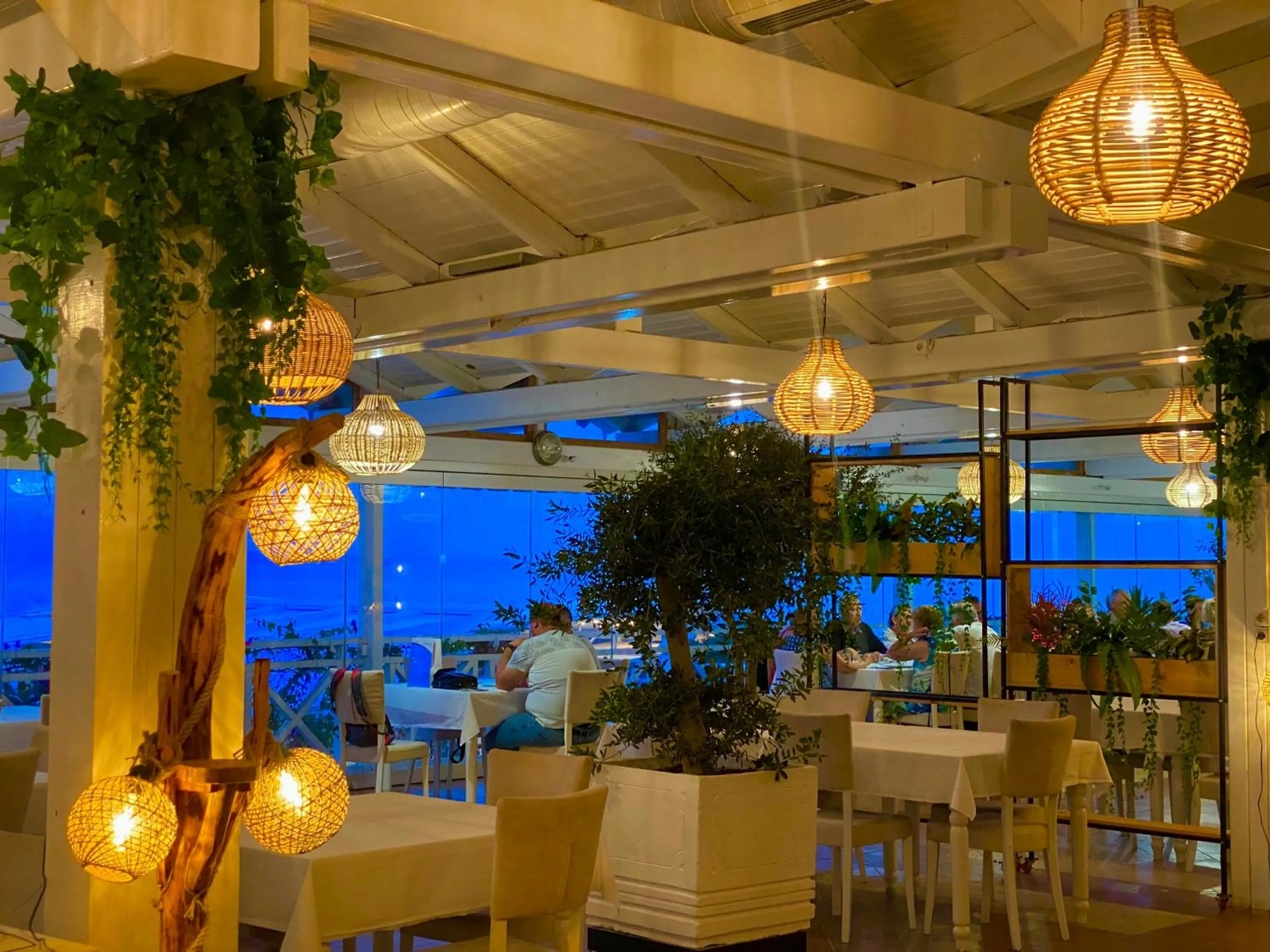 Restaurant/places to eat in Hotel Nertili