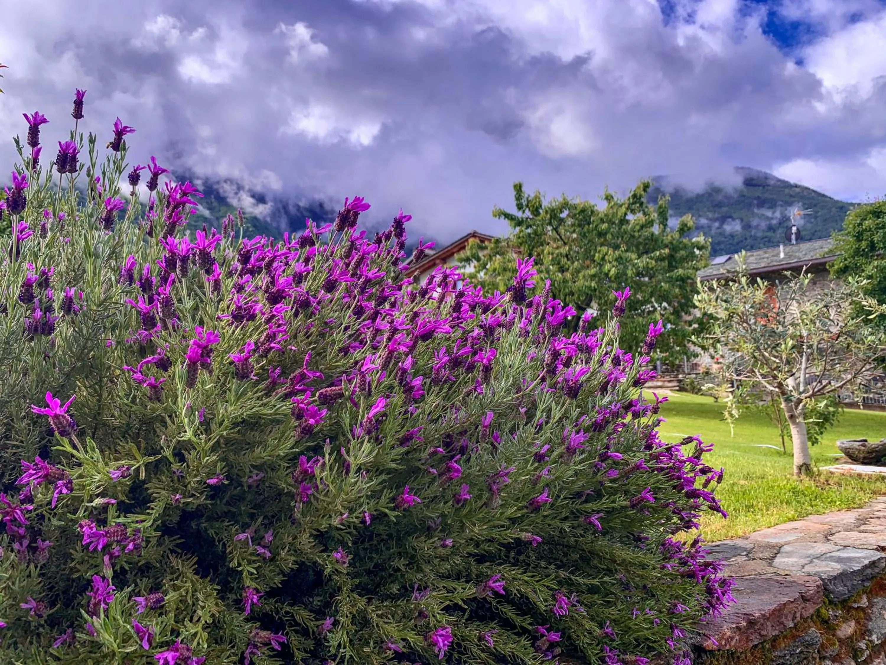 Garden in Alle Macine - Historic Molino Maufet Watermill - Lake Como