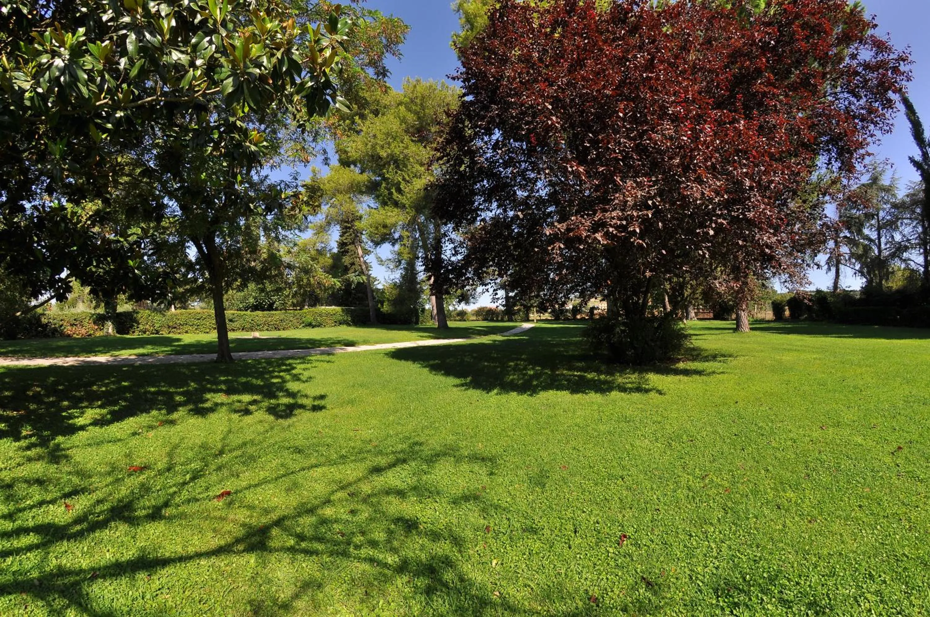 Garden in B&B Villa Dei Priori