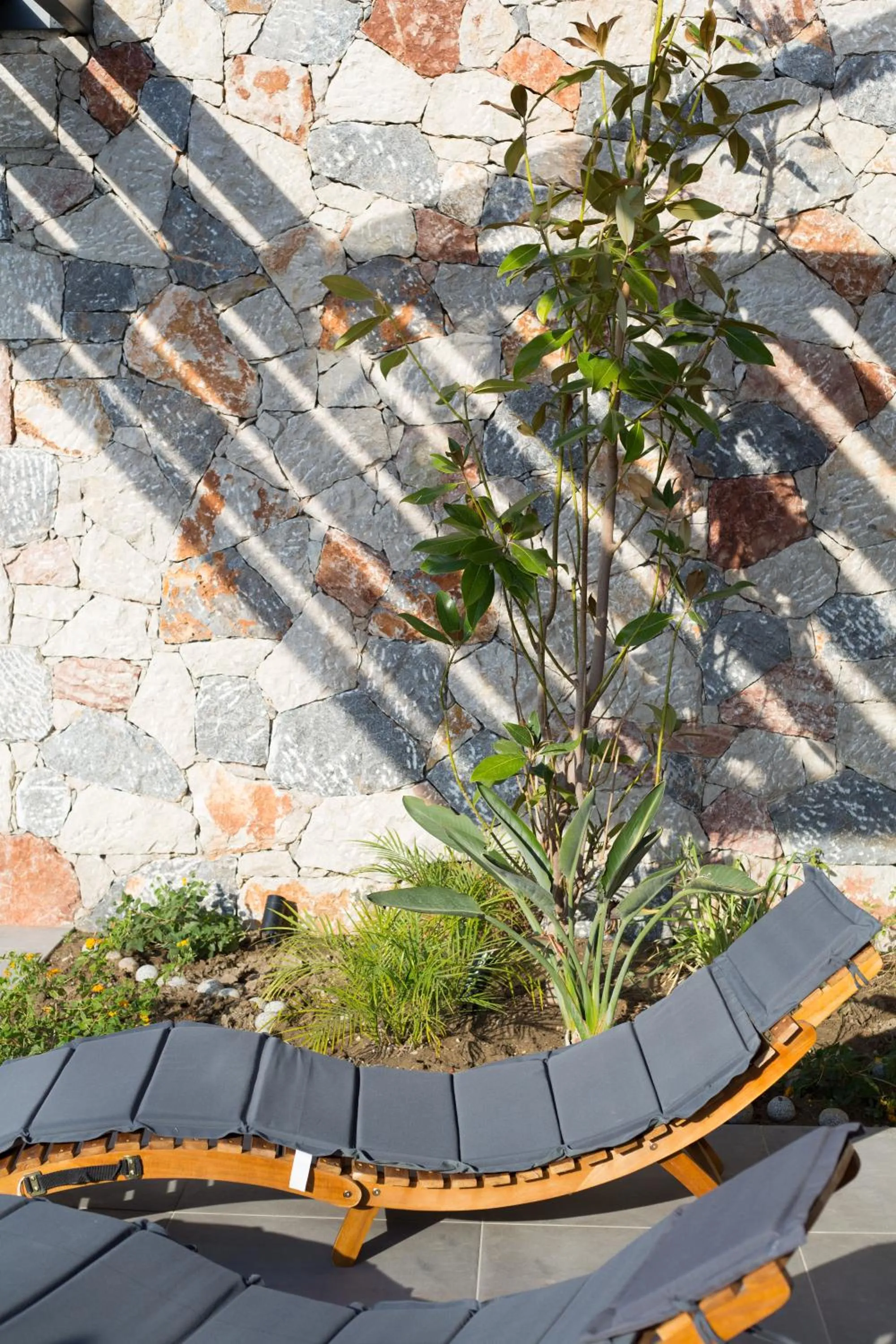 Property building in DeLight Luxury Rooms