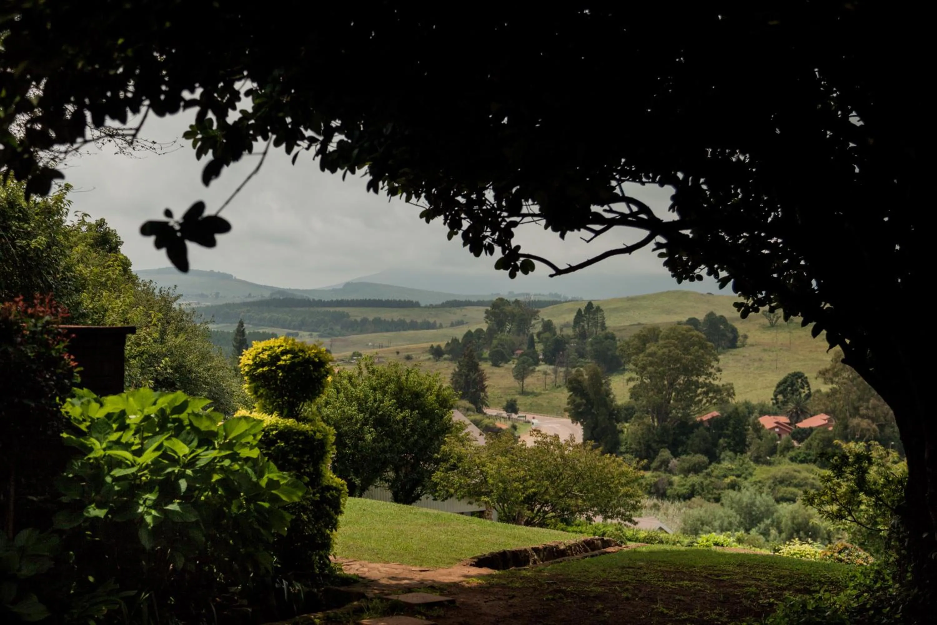 Natural landscape in Viewpoint Estate Accommodation