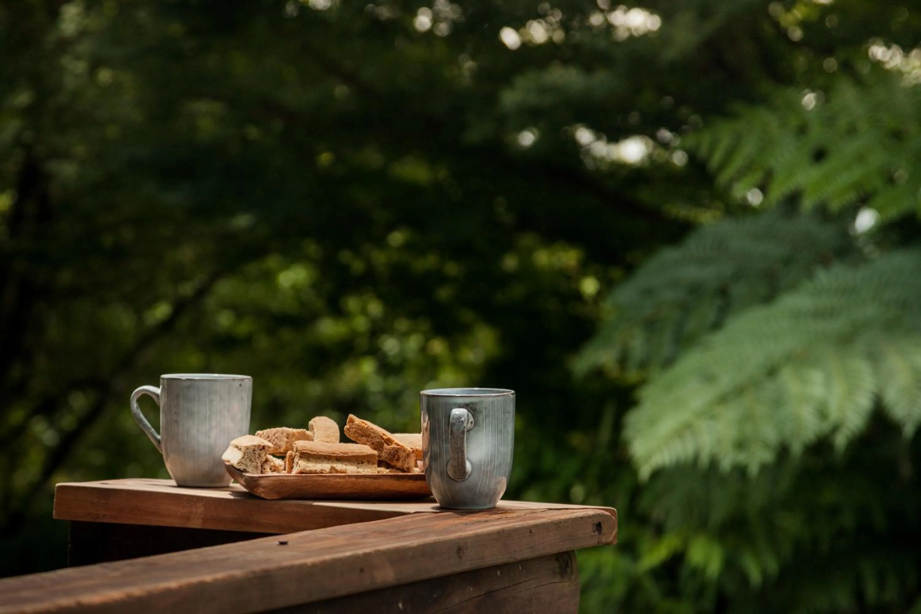 Day in Viewpoint Estate Accommodation