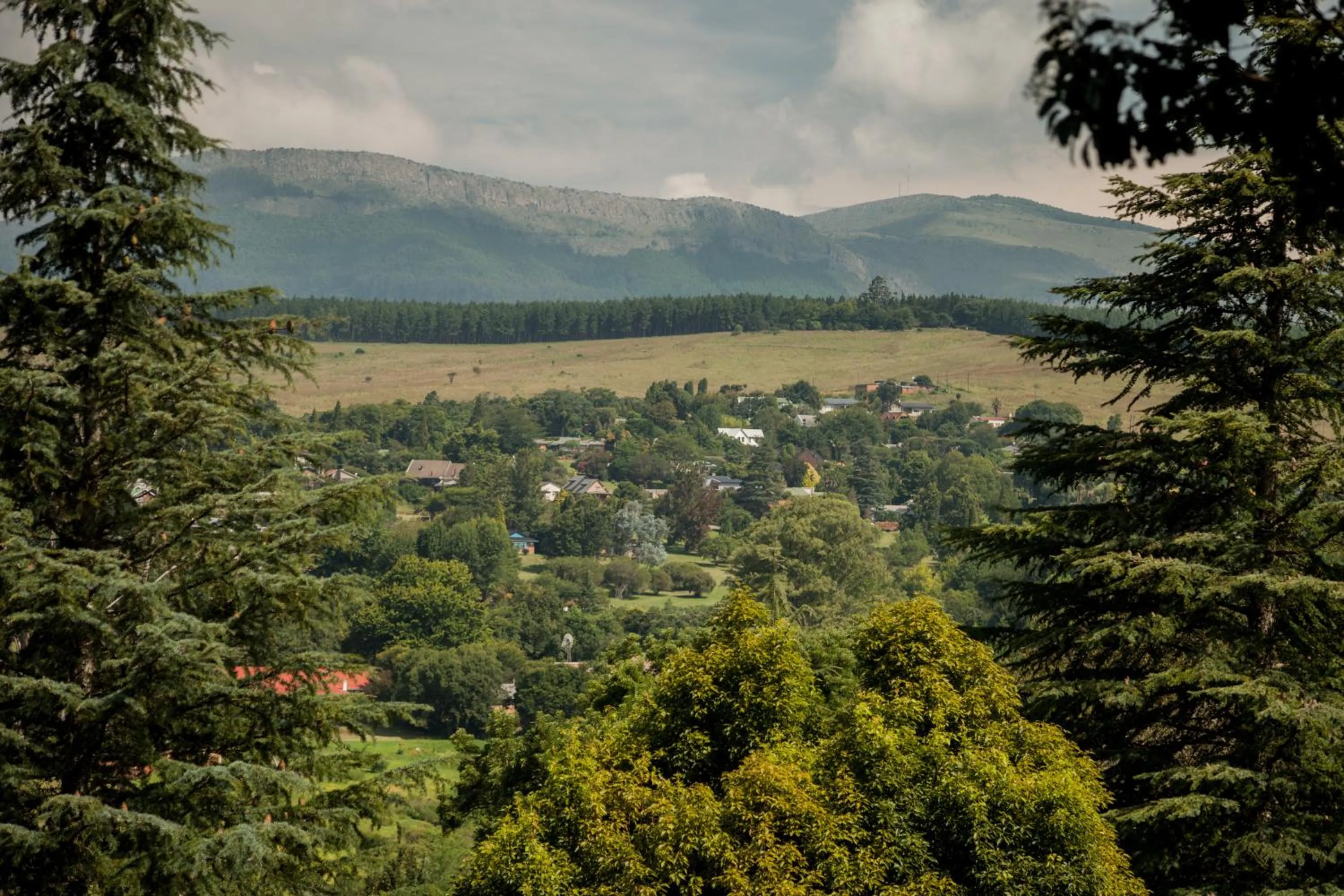 Natural landscape in Viewpoint Estate Accommodation