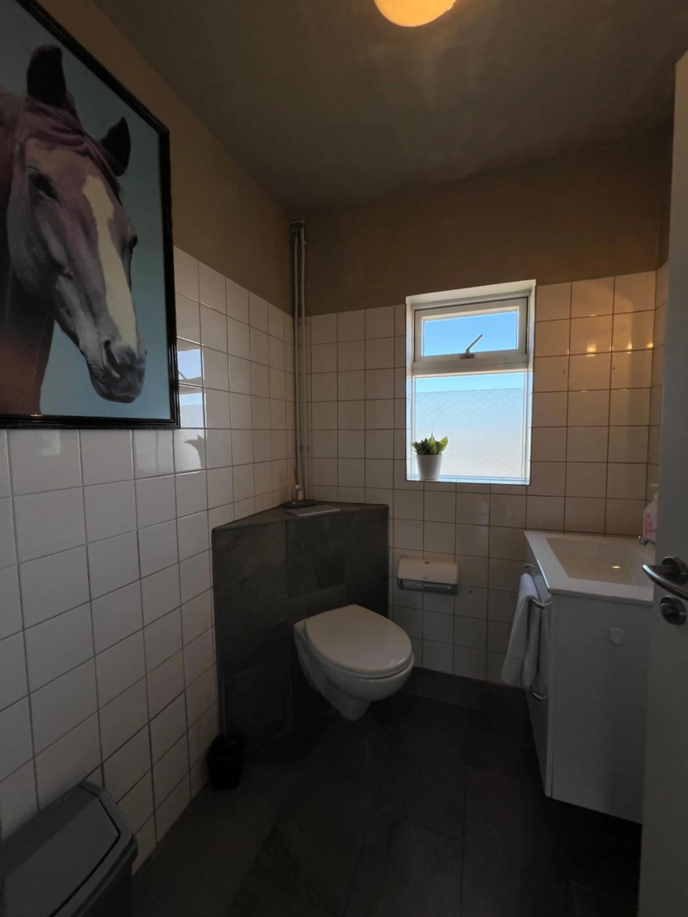 Toilet in Sauðanes Guesthouse
