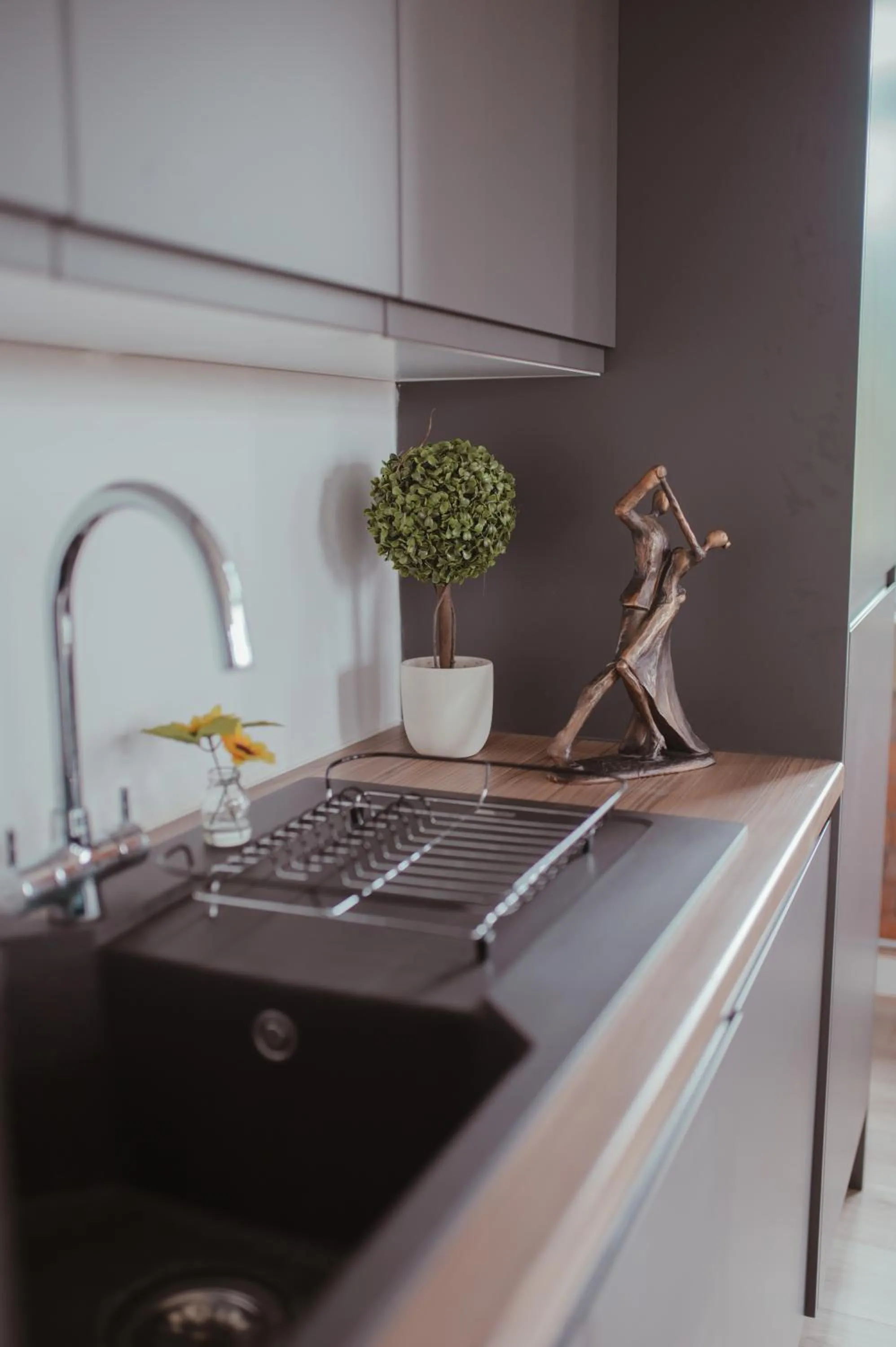 Kitchen or kitchenette in Bv Luxury Apartment Penthouse Conditioning House