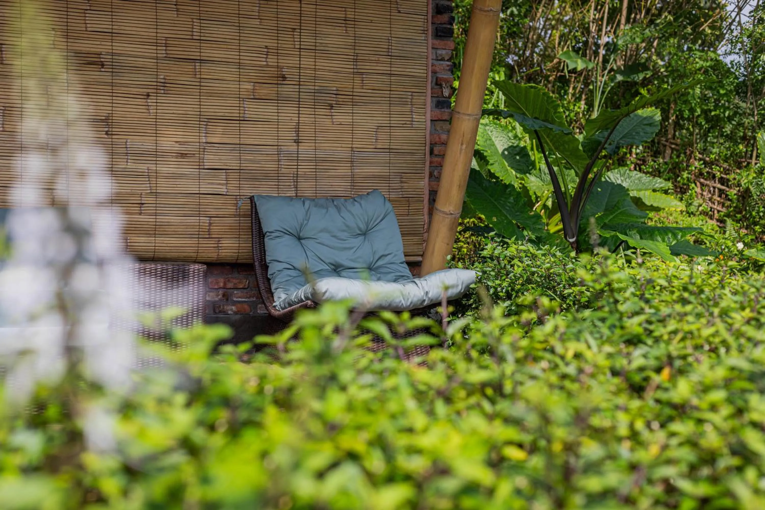 sunbed in Shigar Livin Bali