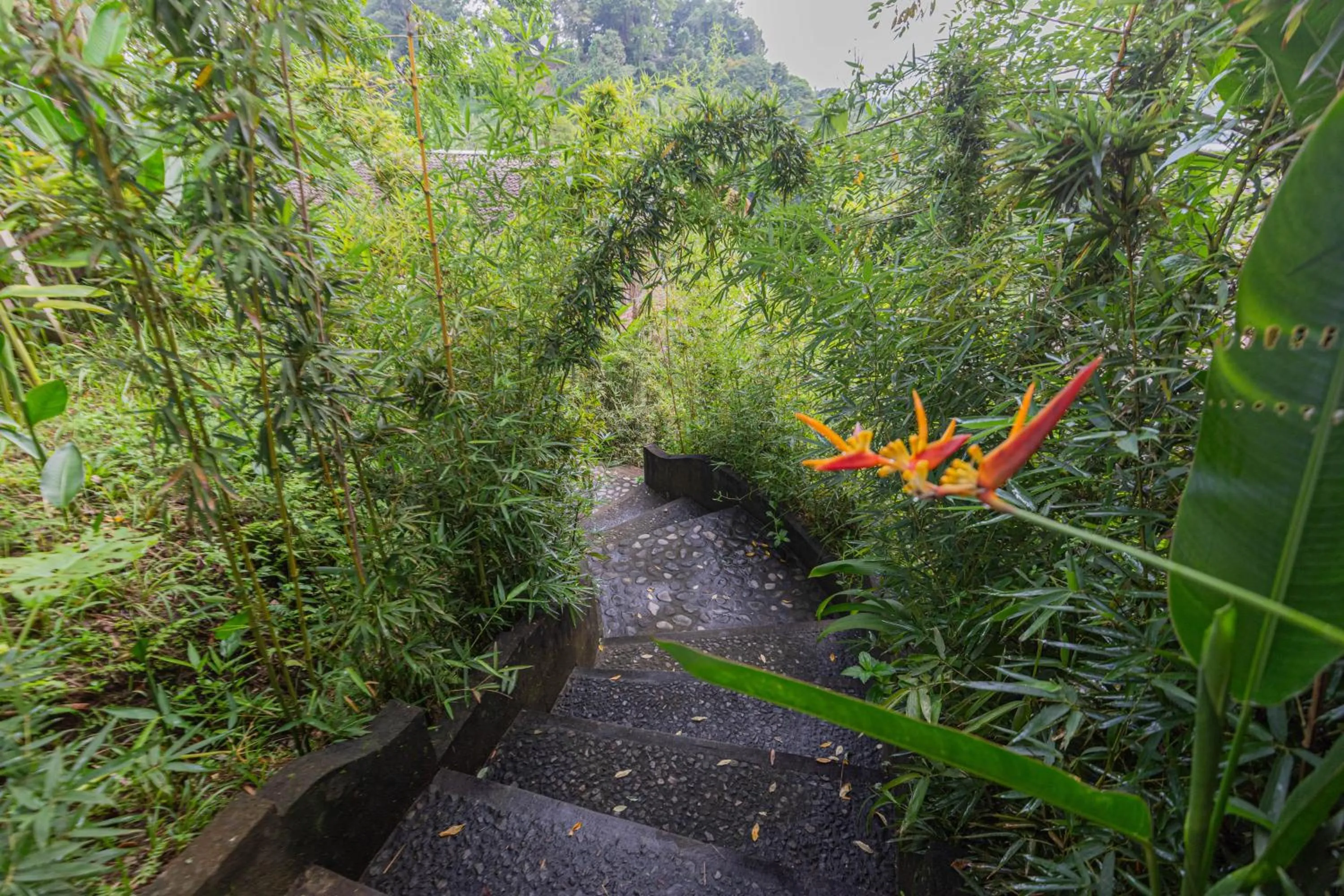 Facade/entrance in Shigar Livin Bali