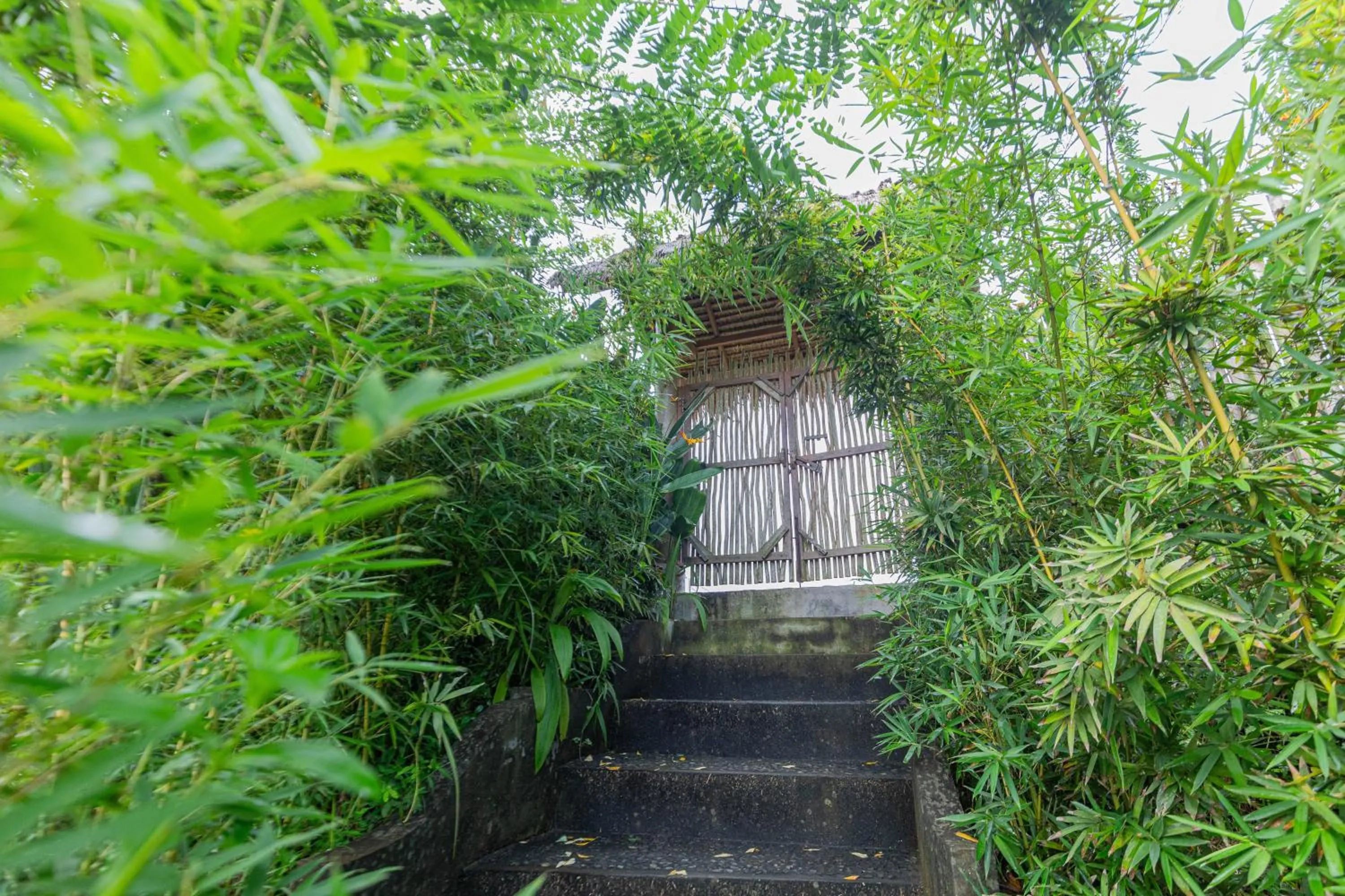 Garden in Shigar Livin Bali