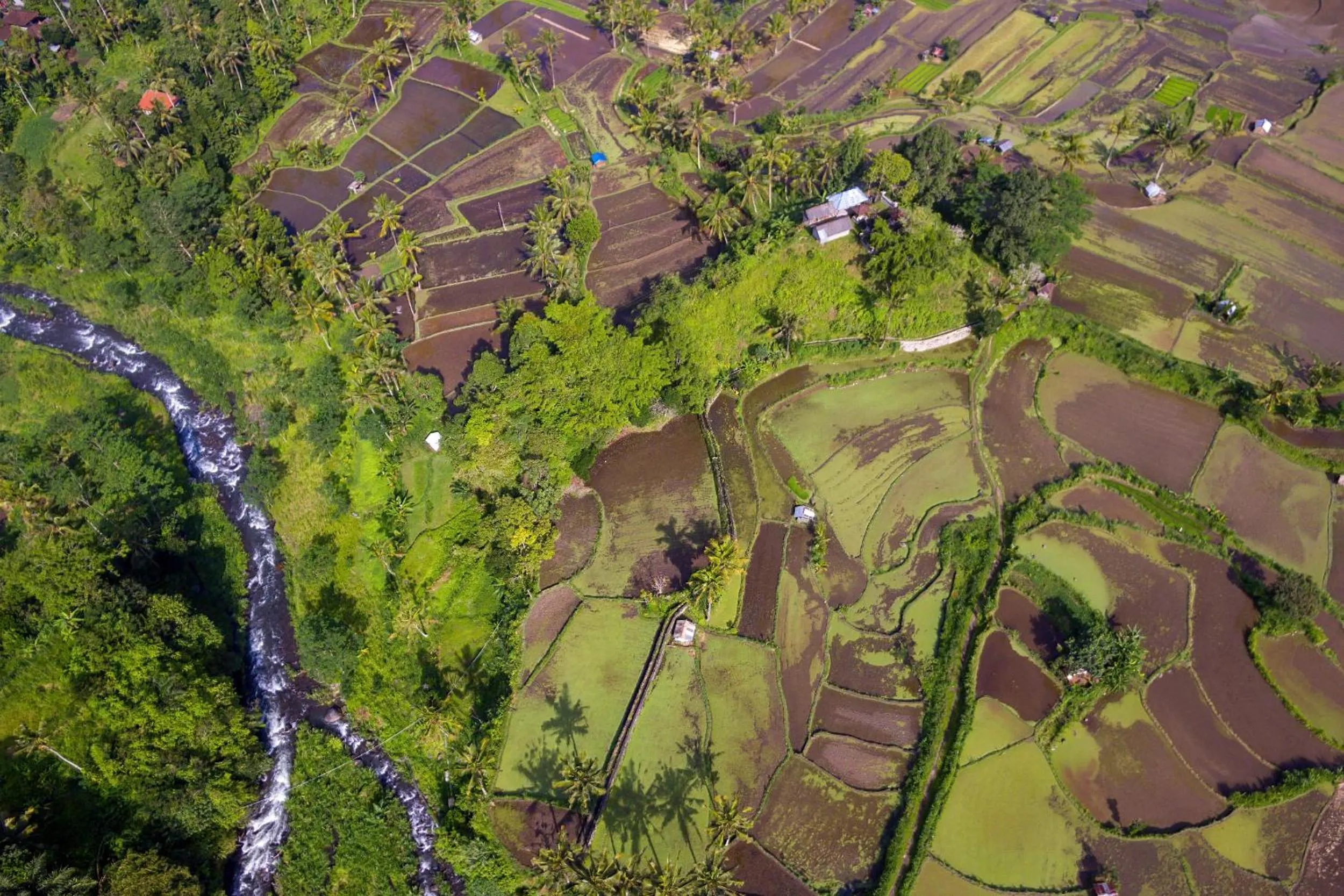 Bird's eye view in Shigar Livin Bali