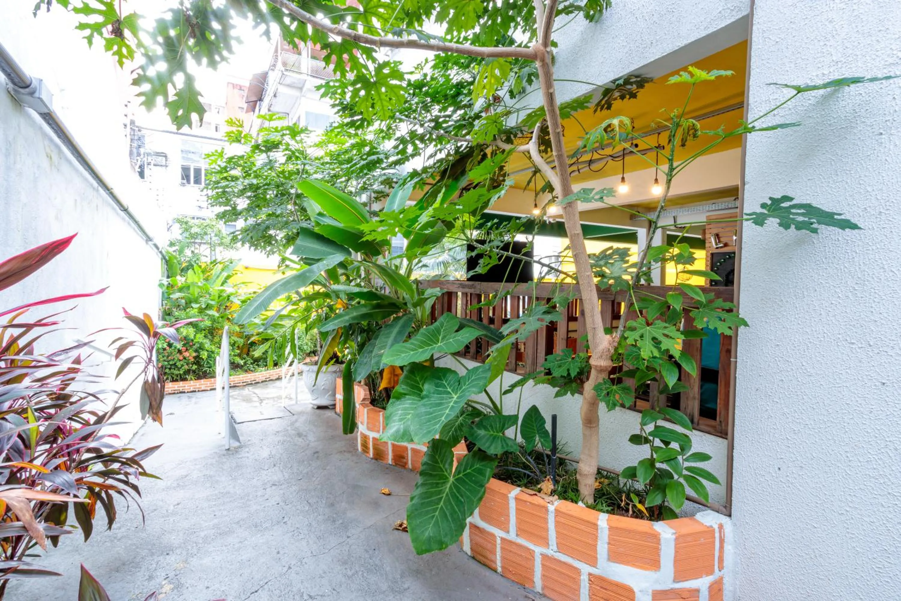 Day in Local Hostel Manaus