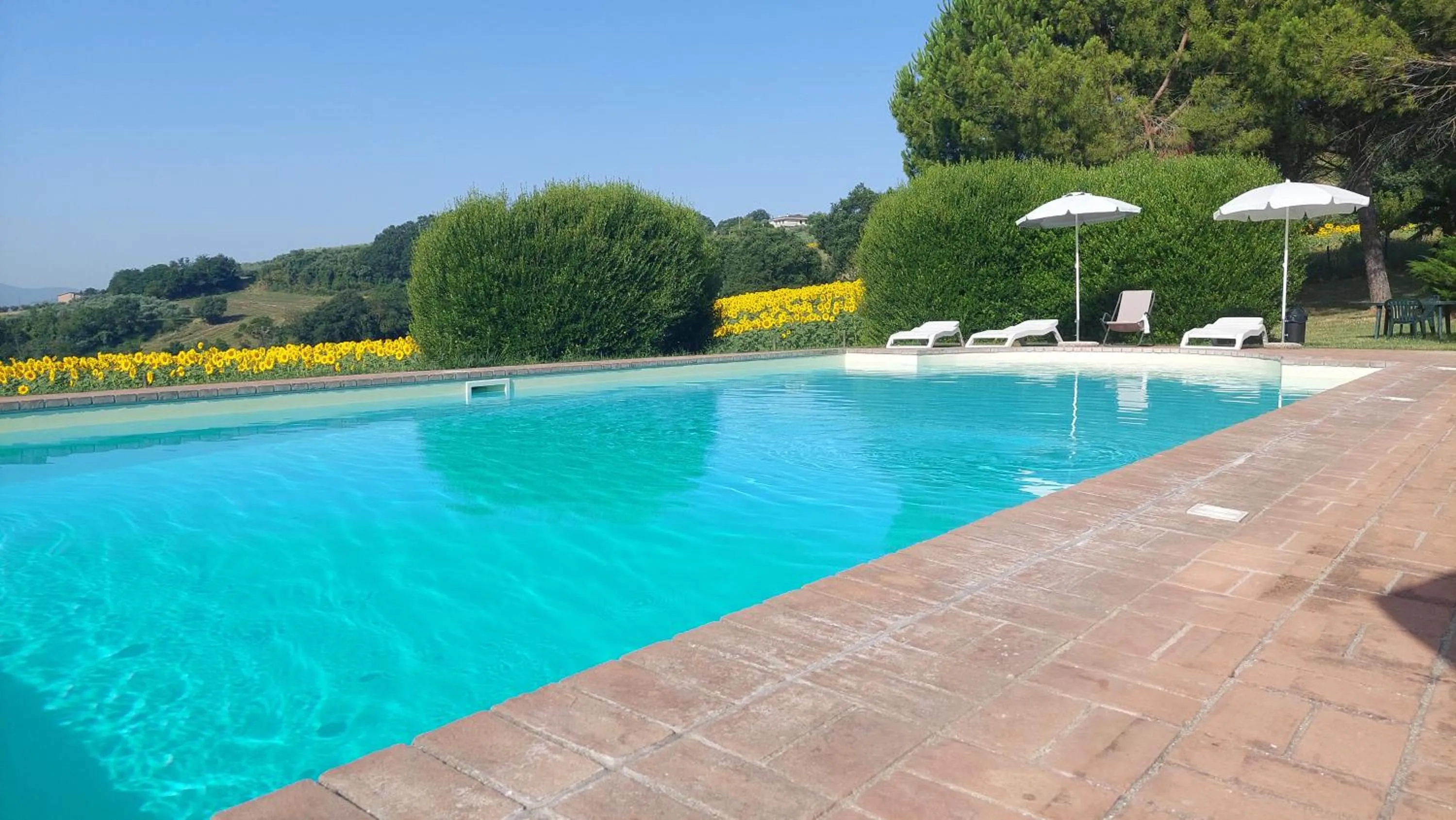 Pool view in Il Borghetto