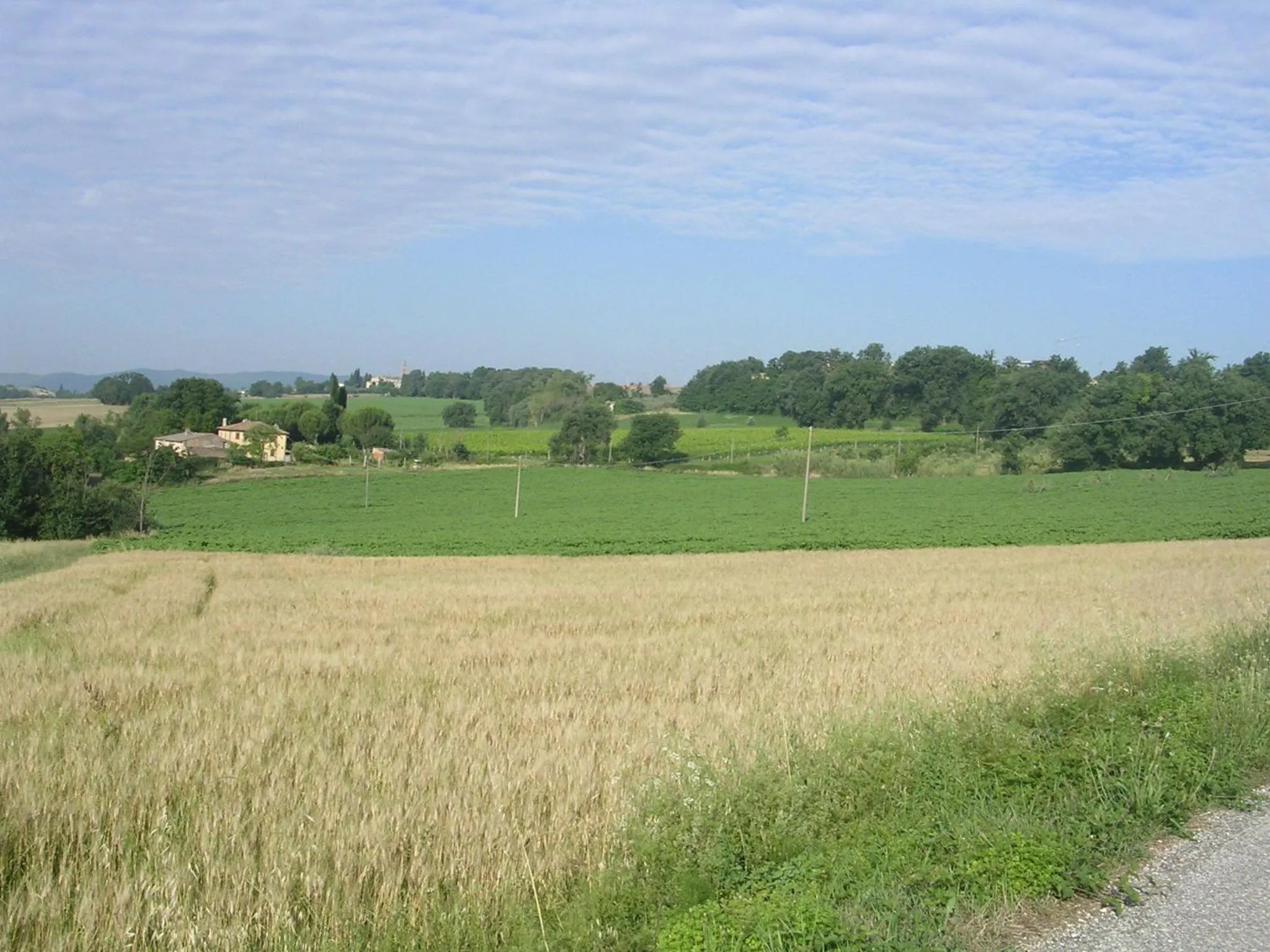 Natural landscape in Il Borghetto