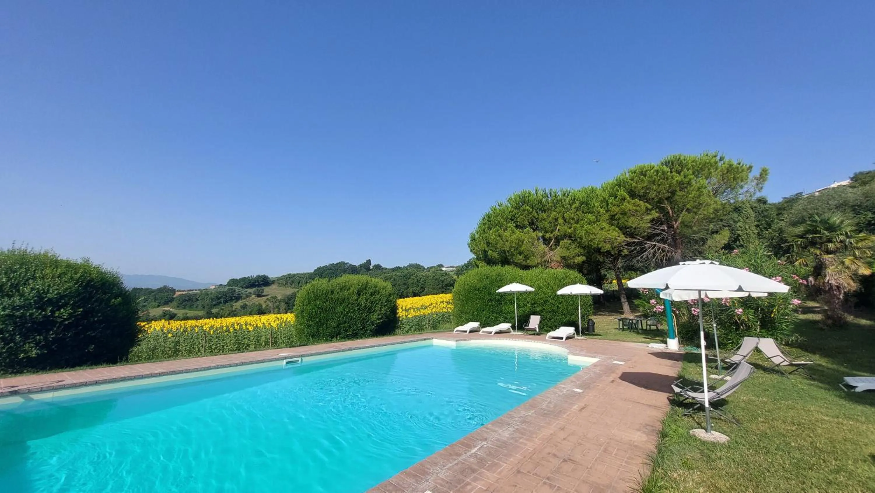 Swimming pool in Il Borghetto