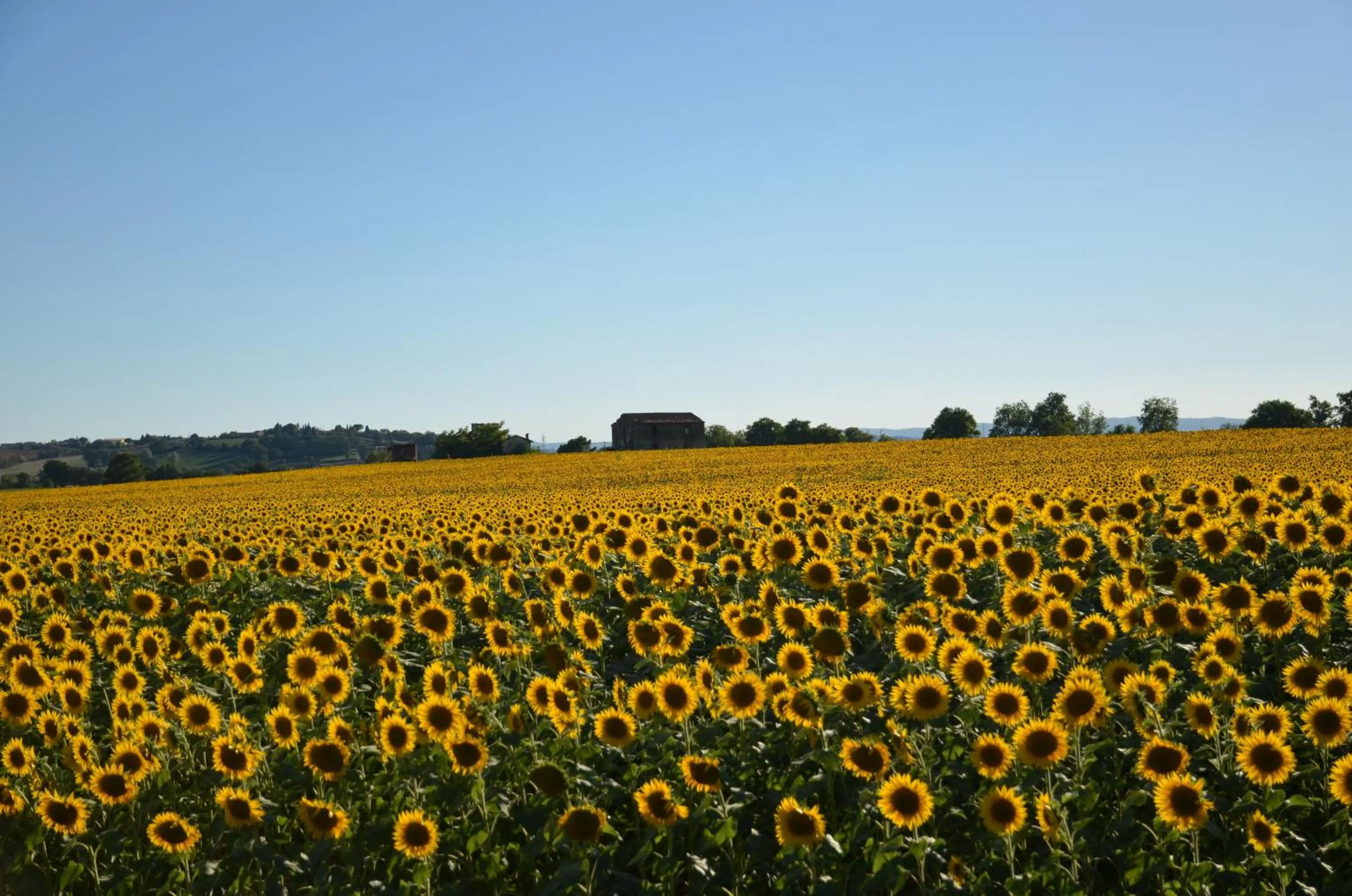 Area and facilities in Cortona Resort-Le Terre Dei Cavalieri