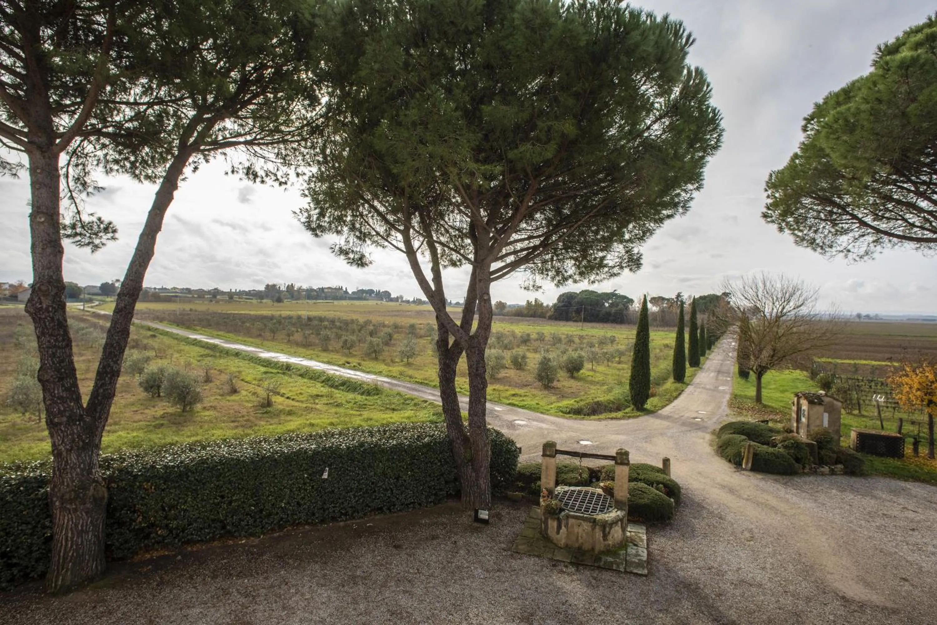 Spring in Cortona Resort-Le Terre Dei Cavalieri