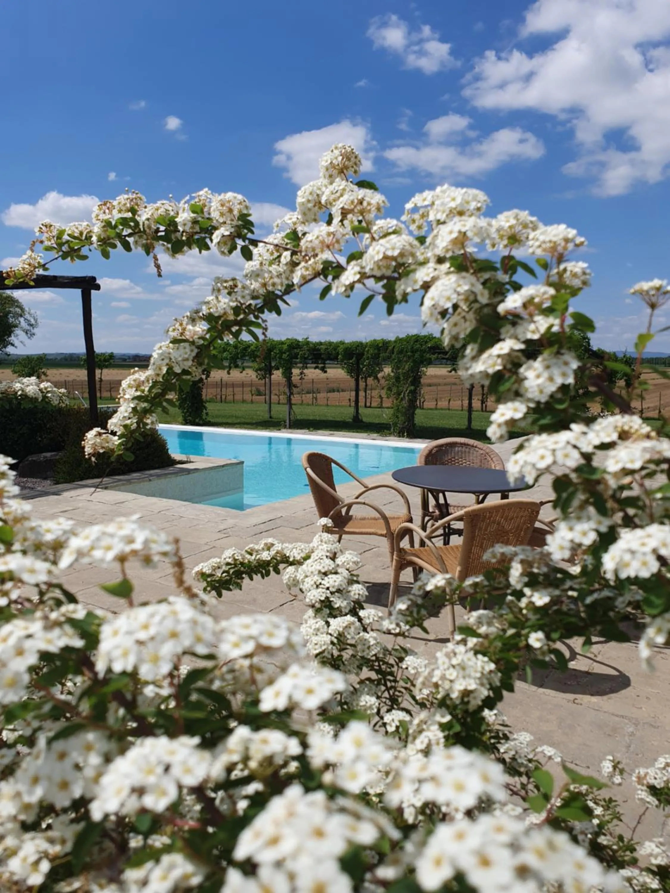 Patio in Cortona Resort-Le Terre Dei Cavalieri