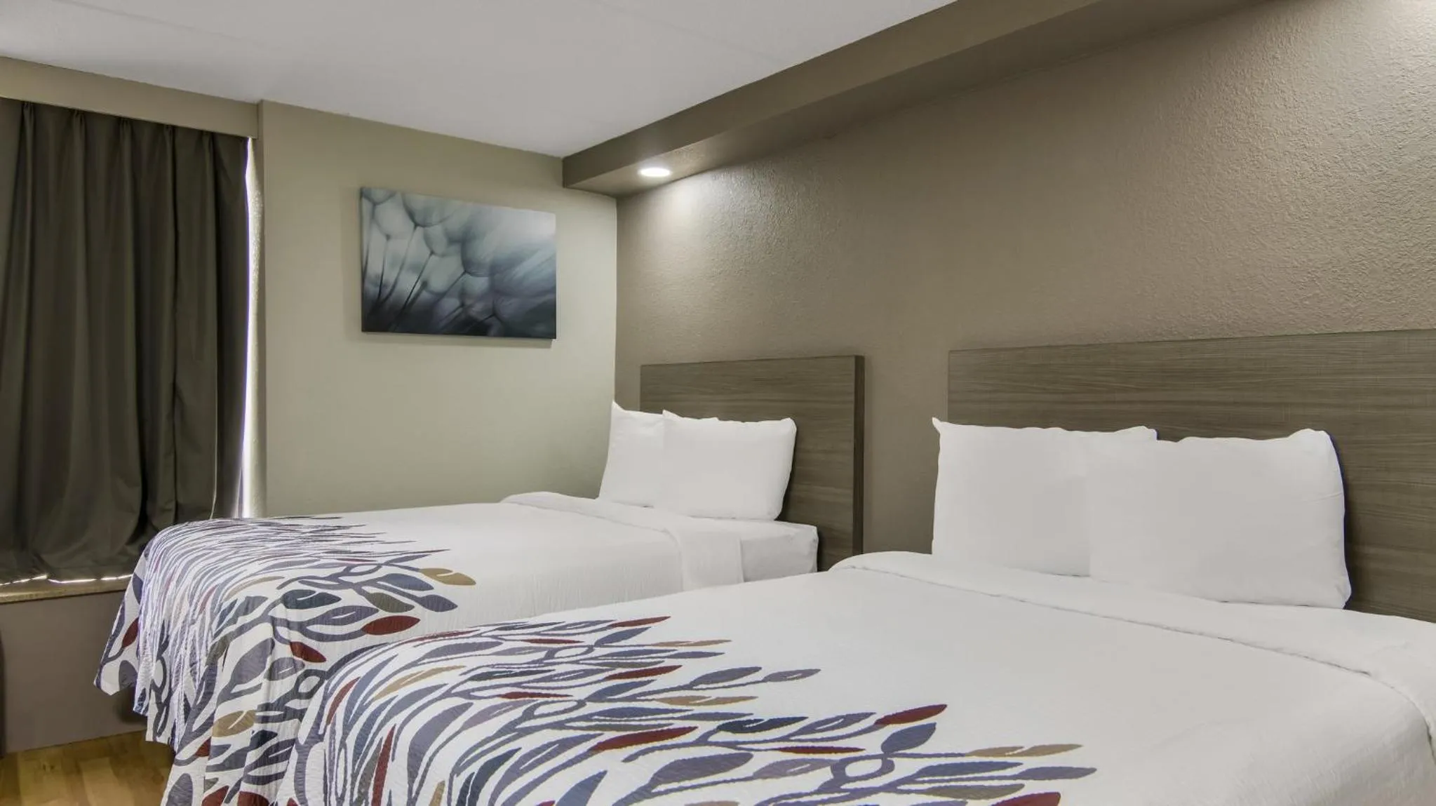 Photo of the whole room, Bed in Red Roof Inn and Conference Center Chicago - N Aurora Naperville