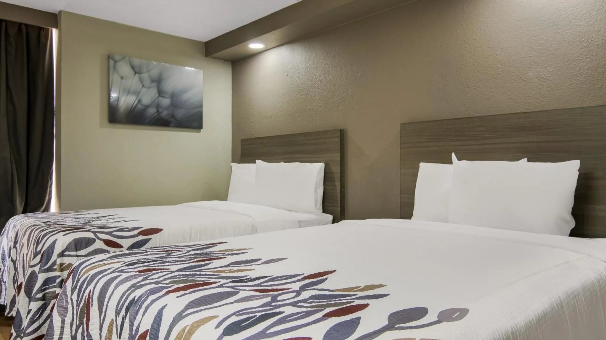 Photo of the whole room, Bed in Red Roof Inn and Conference Center Chicago - N Aurora Naperville