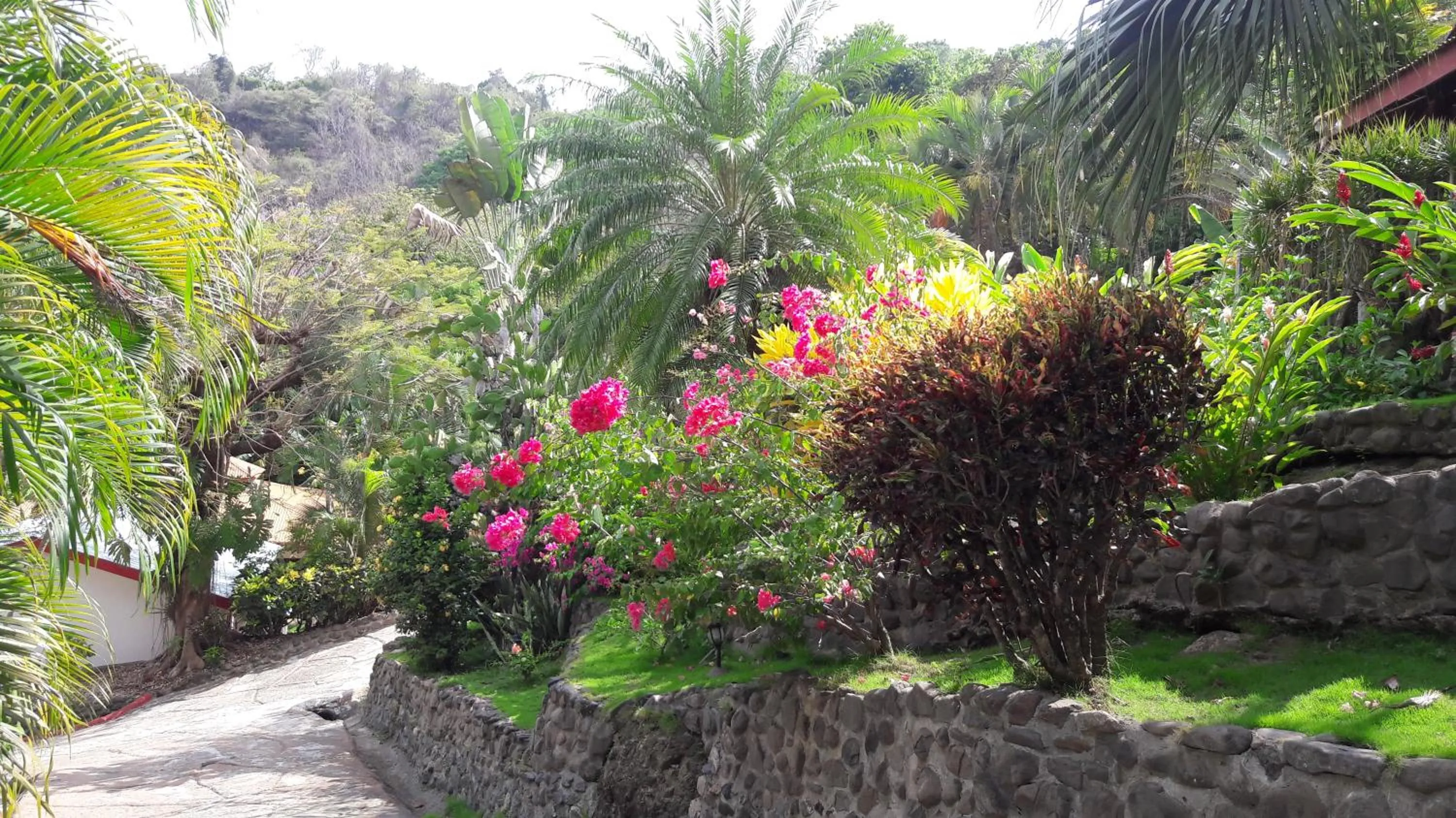 Garden in Hotel El Jardin