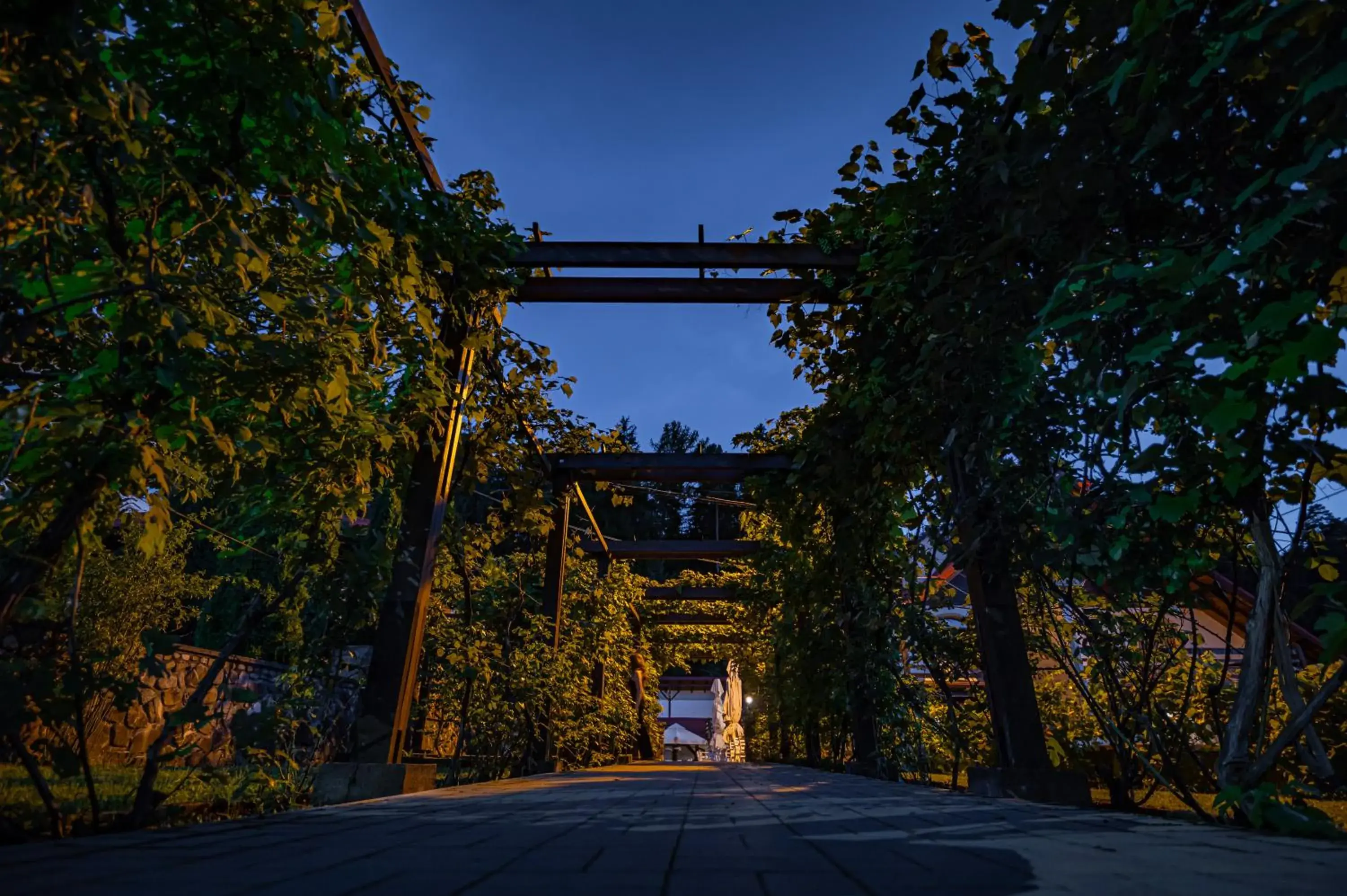 Restaurant/places to eat in Q Chalet Restaurant/places to eat in Q Chalet