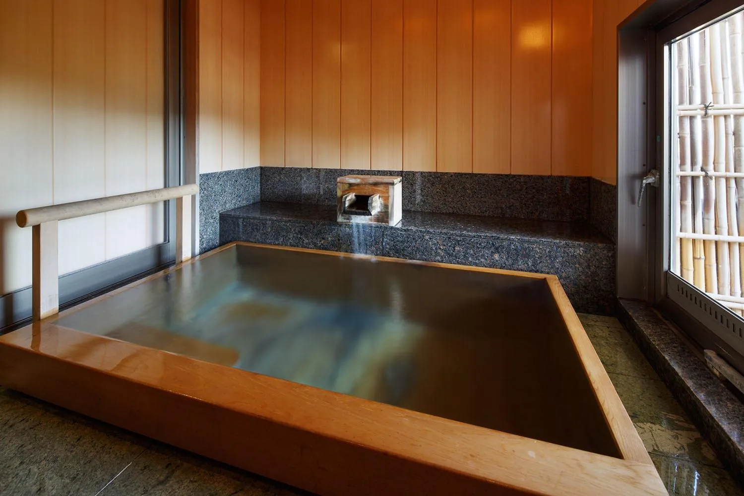 Hot Spring Bath in Fujiya