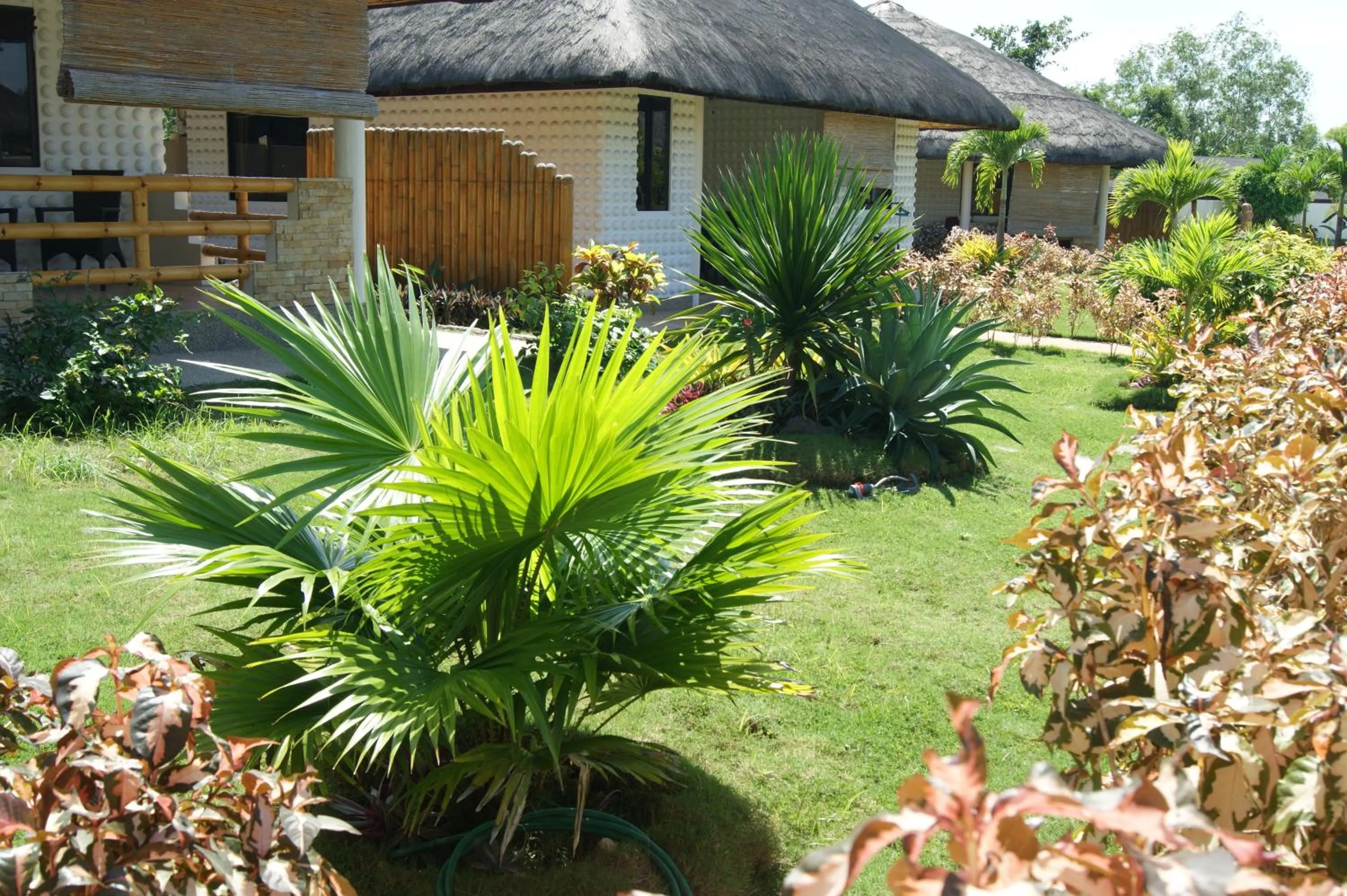 Garden in Panglao Homes Resort & Villas