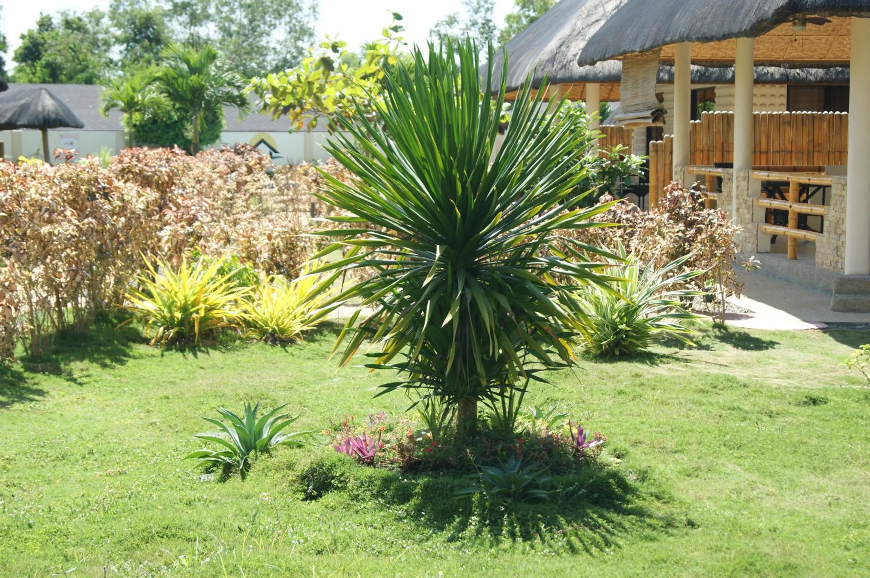 Garden in Panglao Homes Resort & Villas