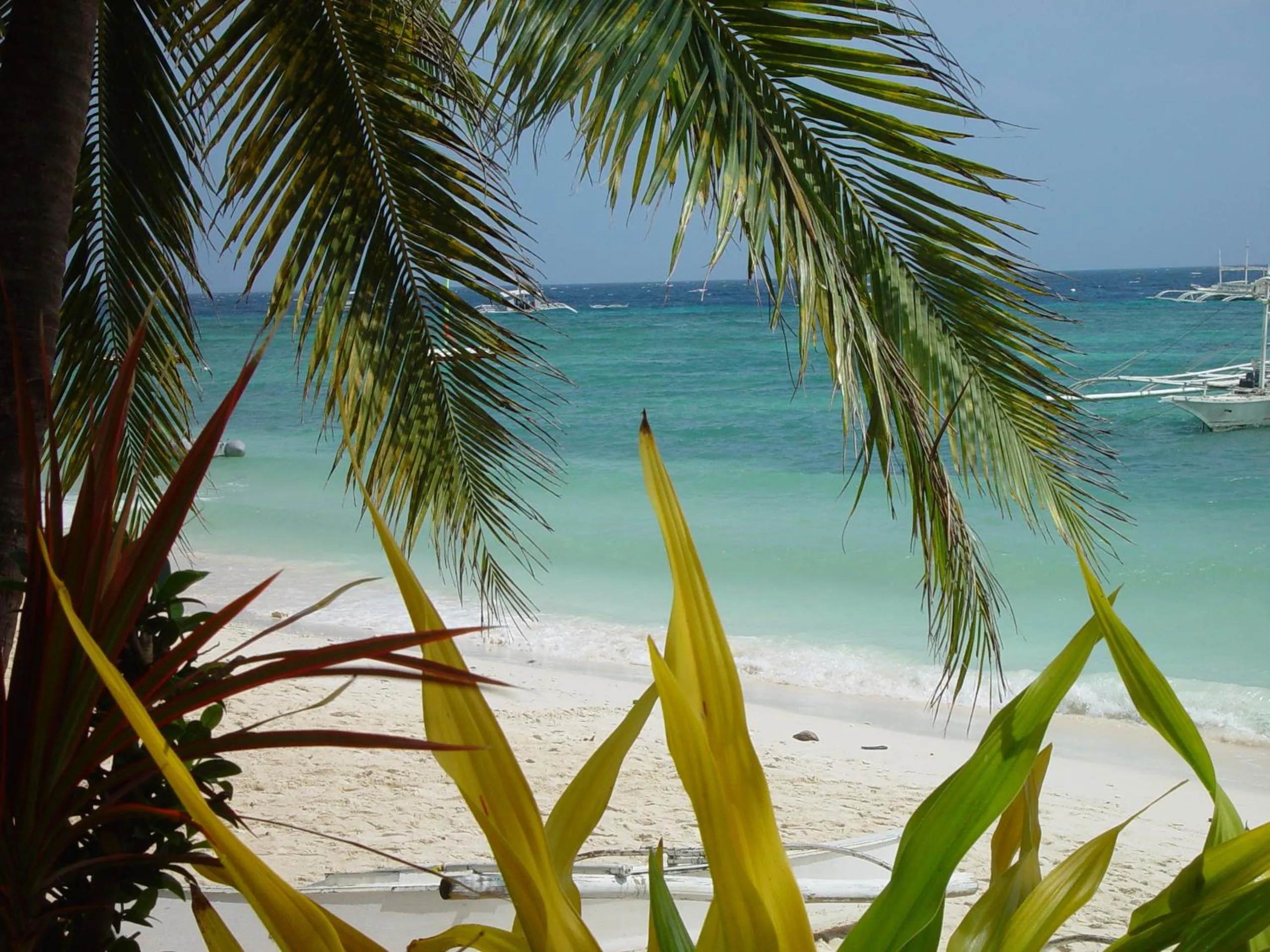 Area and facilities in Panglao Homes Resort & Villas