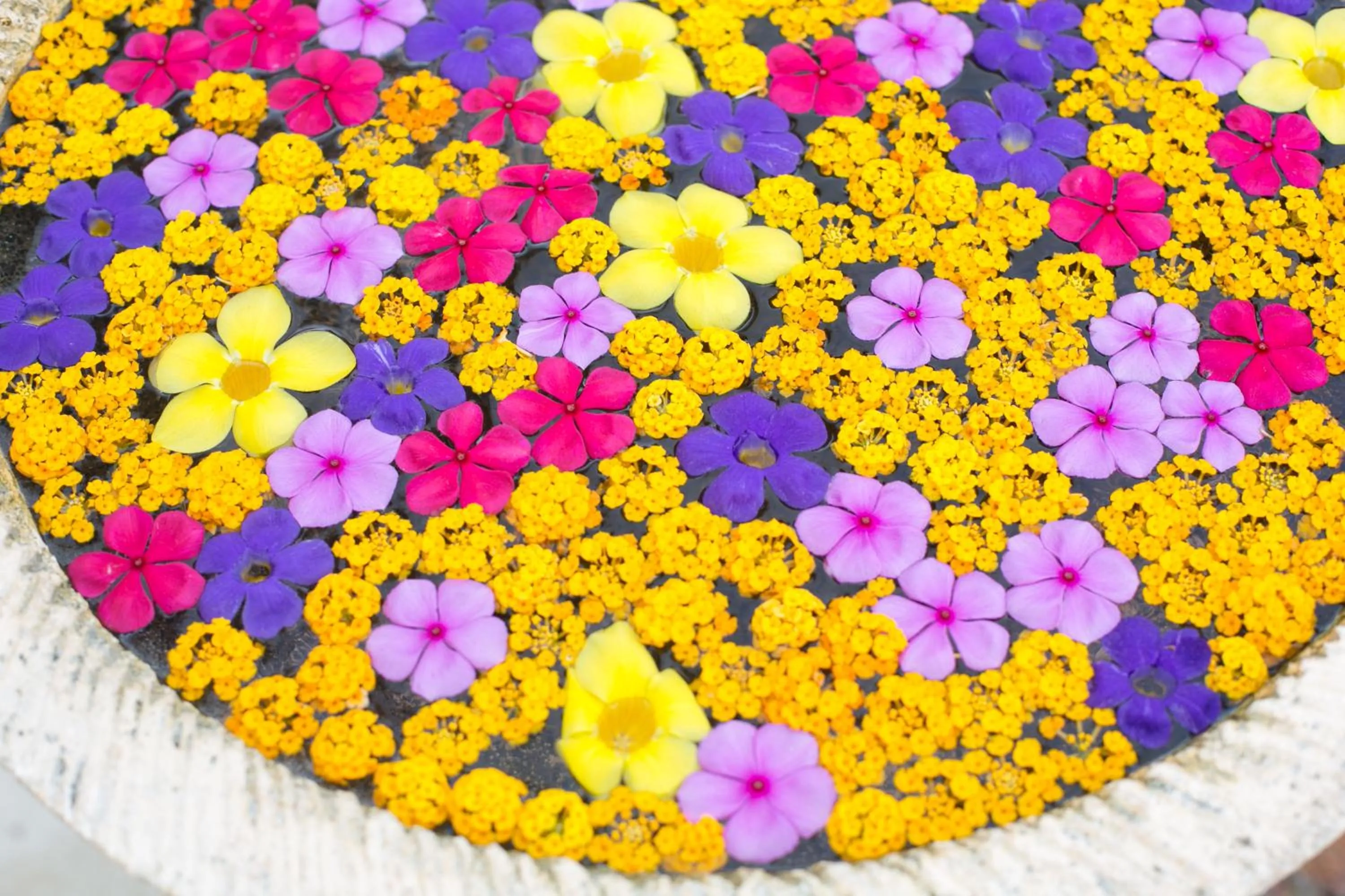 Decorative detail in Hotel Le Duc de Praslin