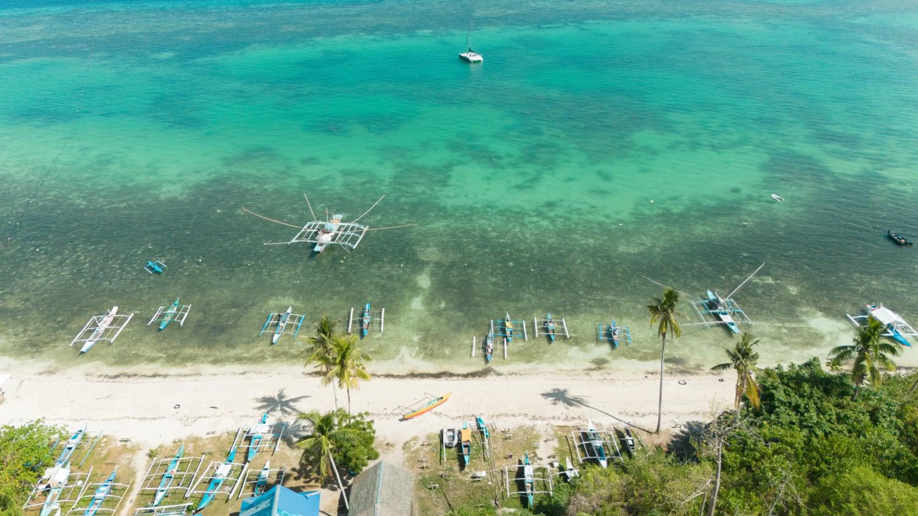 Beach in Natura Vista