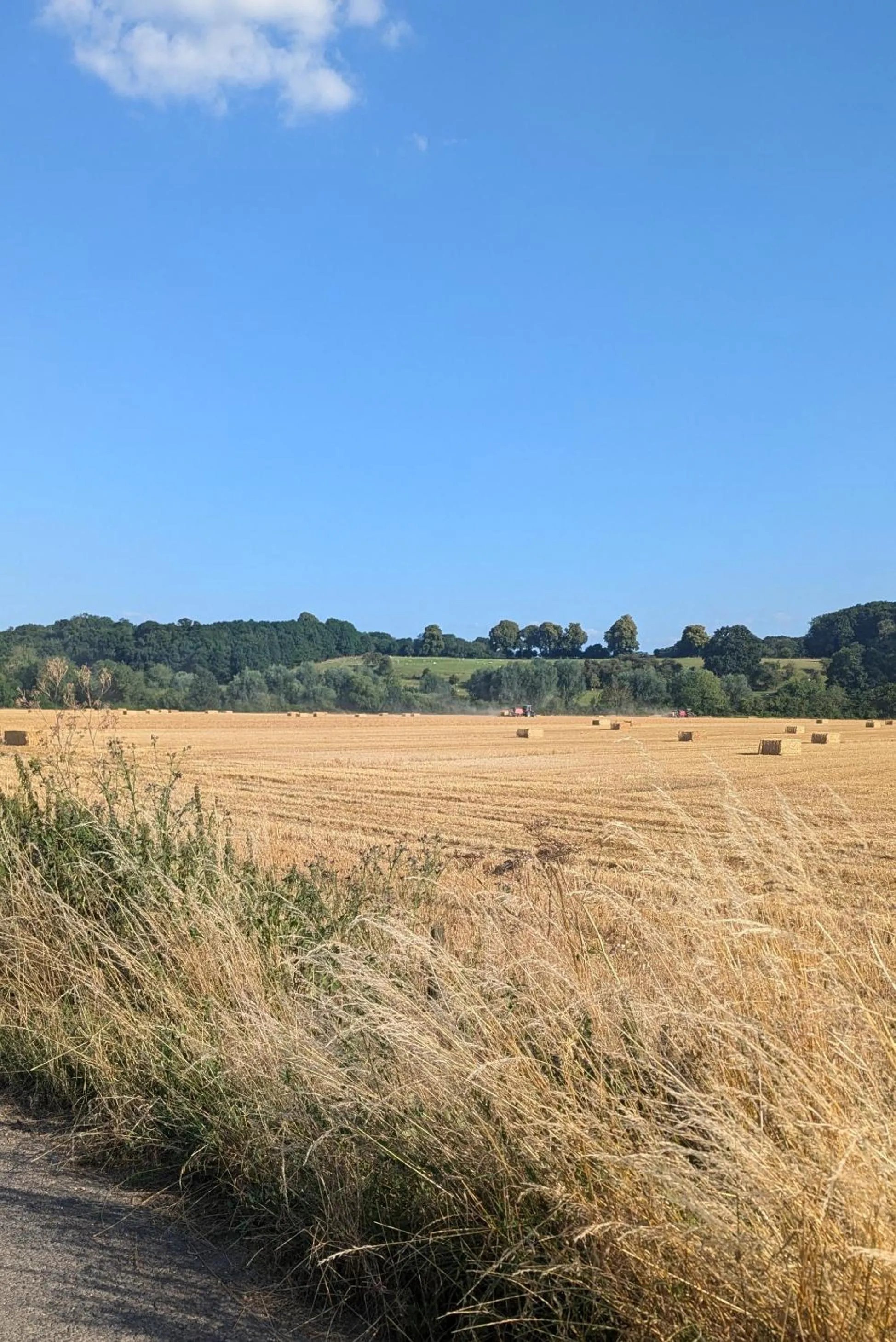 Neighbourhood in Kingfisher Barn