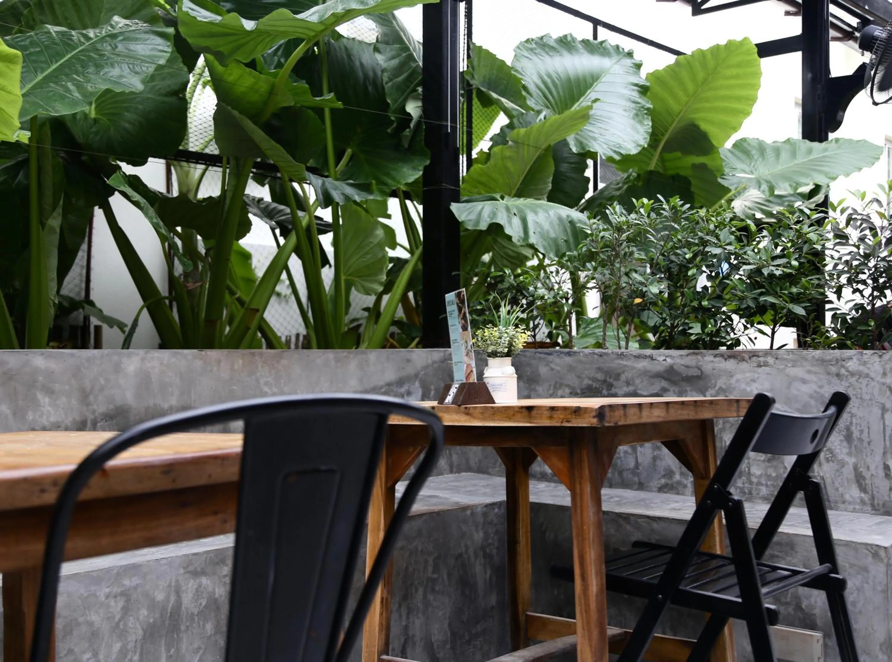 Restaurant/places to eat in PP Princess Resort