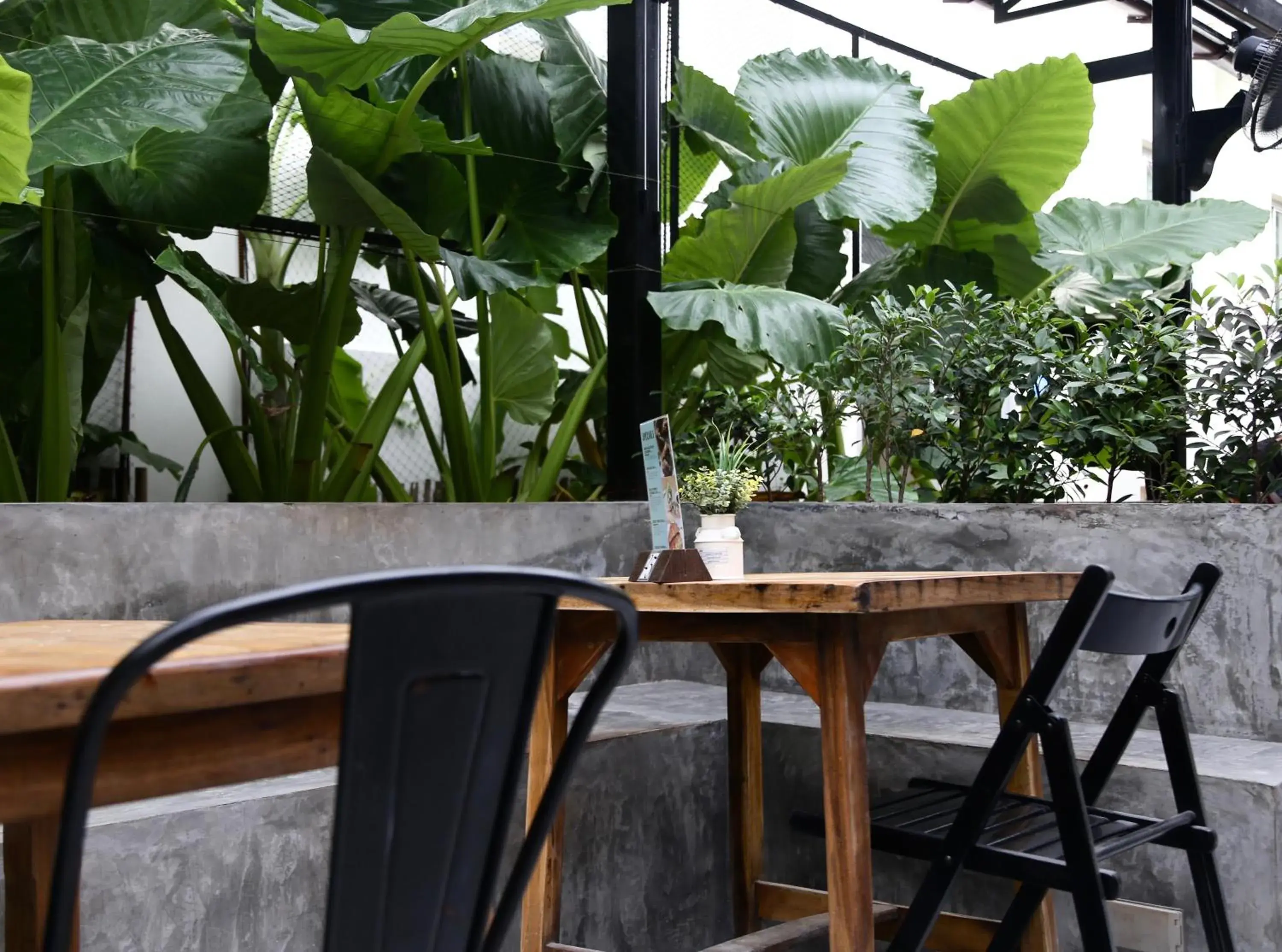 Restaurant/places to eat in PP Princess Resort Restaurant/places to eat in PP Princess Resort